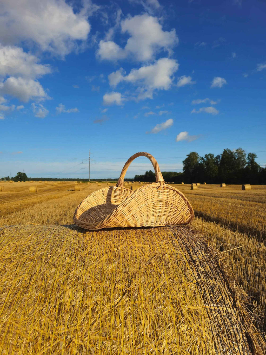 Wicker flower basket 031b - NaturelyWoven wicker - handmade