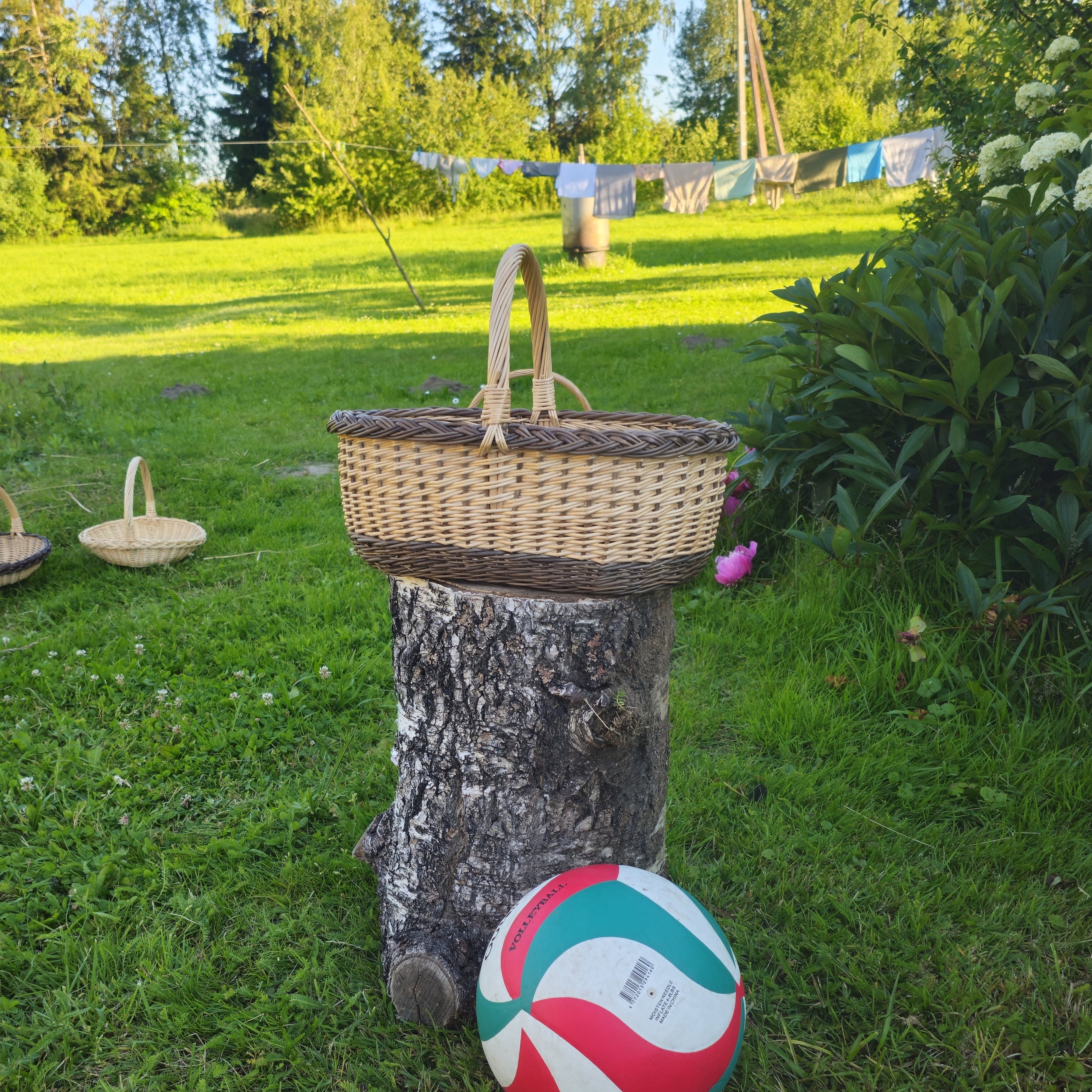 Handwoven Wicker Basket – Rustic Foraging Mushroom & Bread Gathering Basket - NaturelyWoven