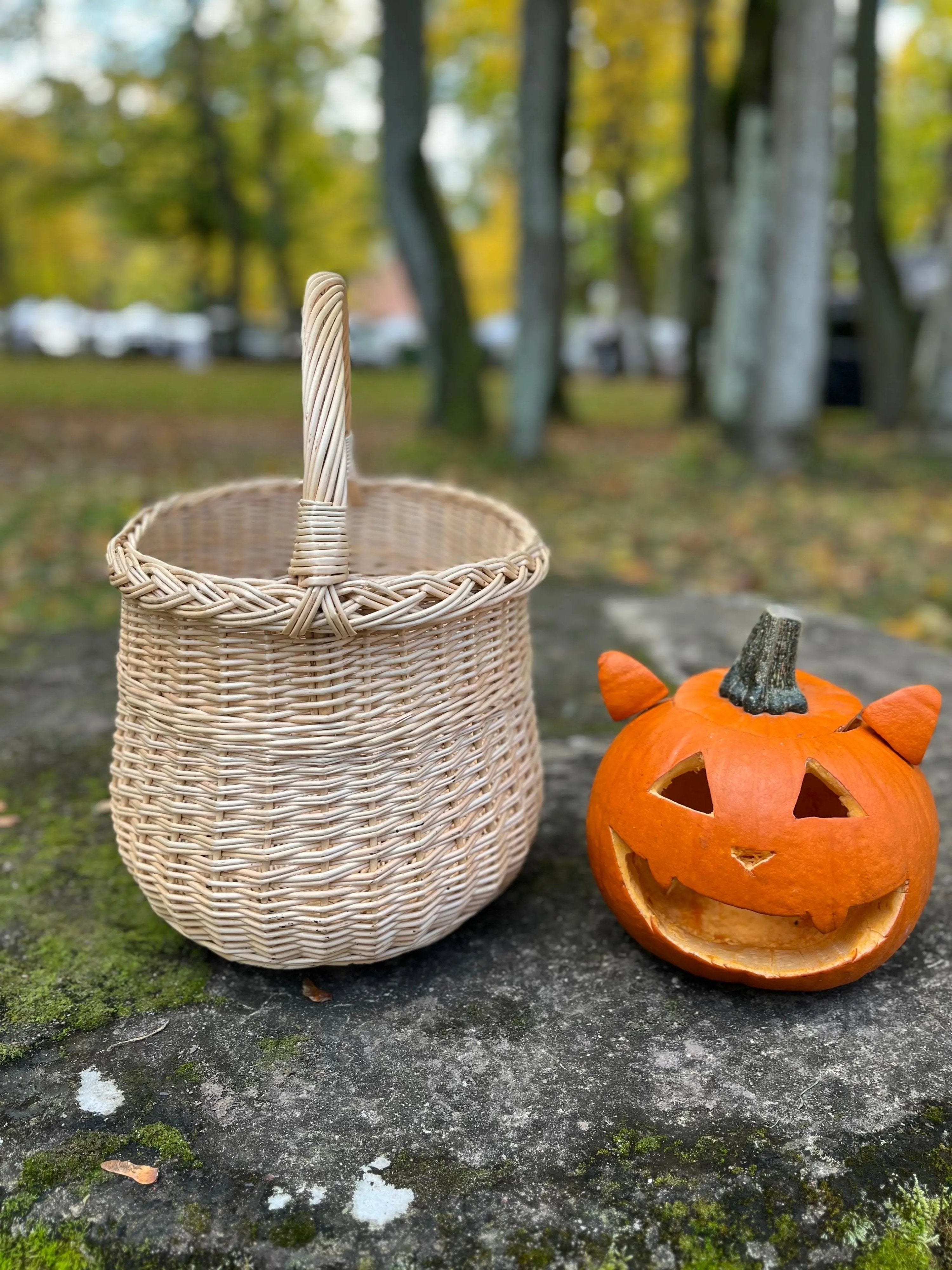 Handwoven Wicker Basket - Rustic Two Tone Oval Storage Basket for Home Decor - NaturelyWoven