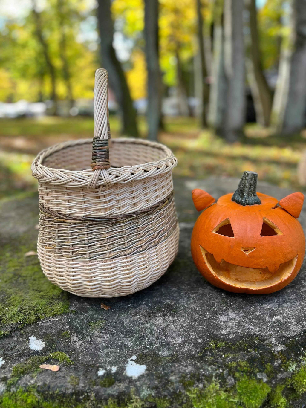 Wicker basket 046b - NaturelyWoven wicker - handmade