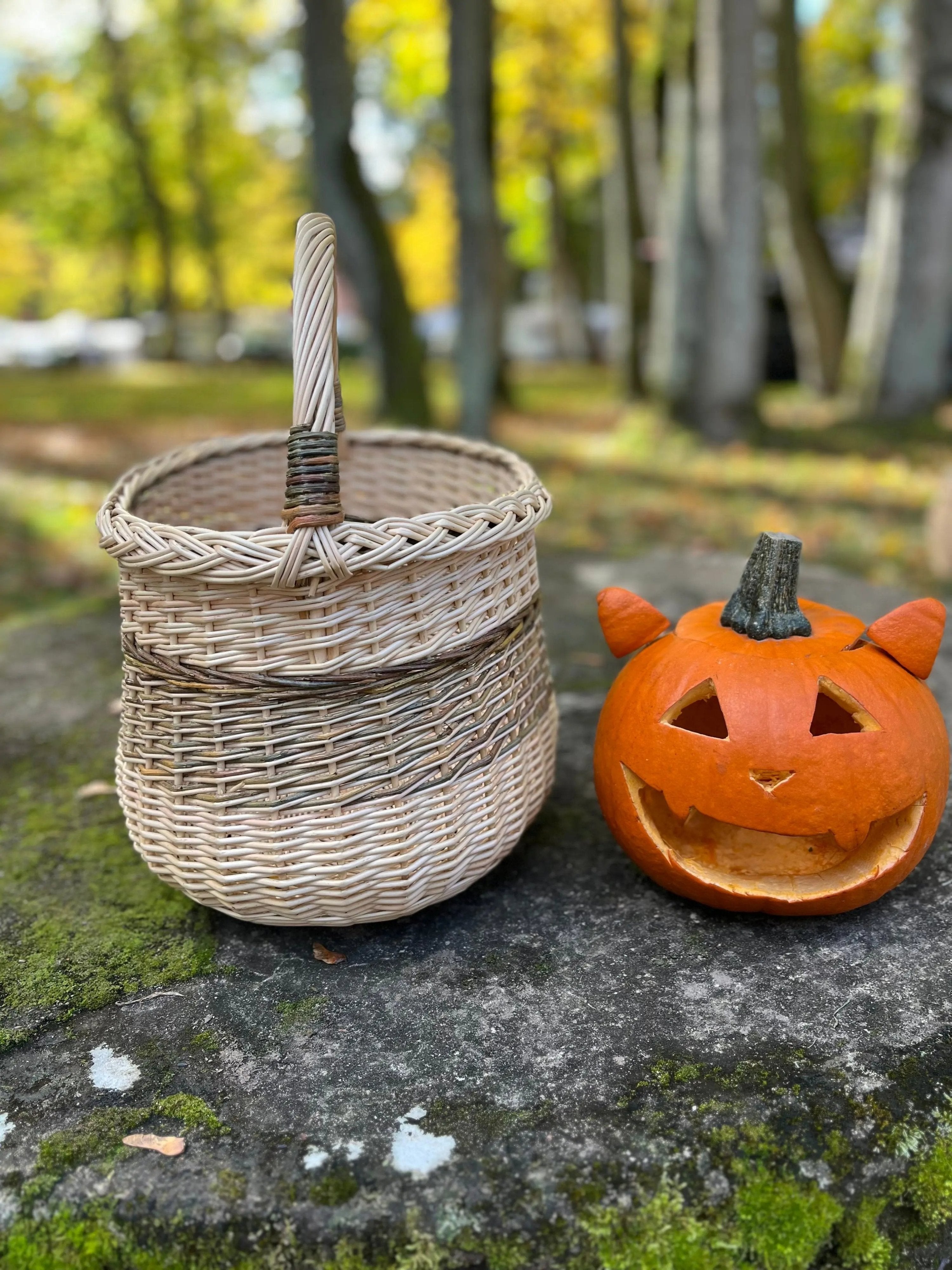 Handwoven Wicker Basket - Rustic Two Tone Oval Storage Basket for Home Decor - NaturelyWoven