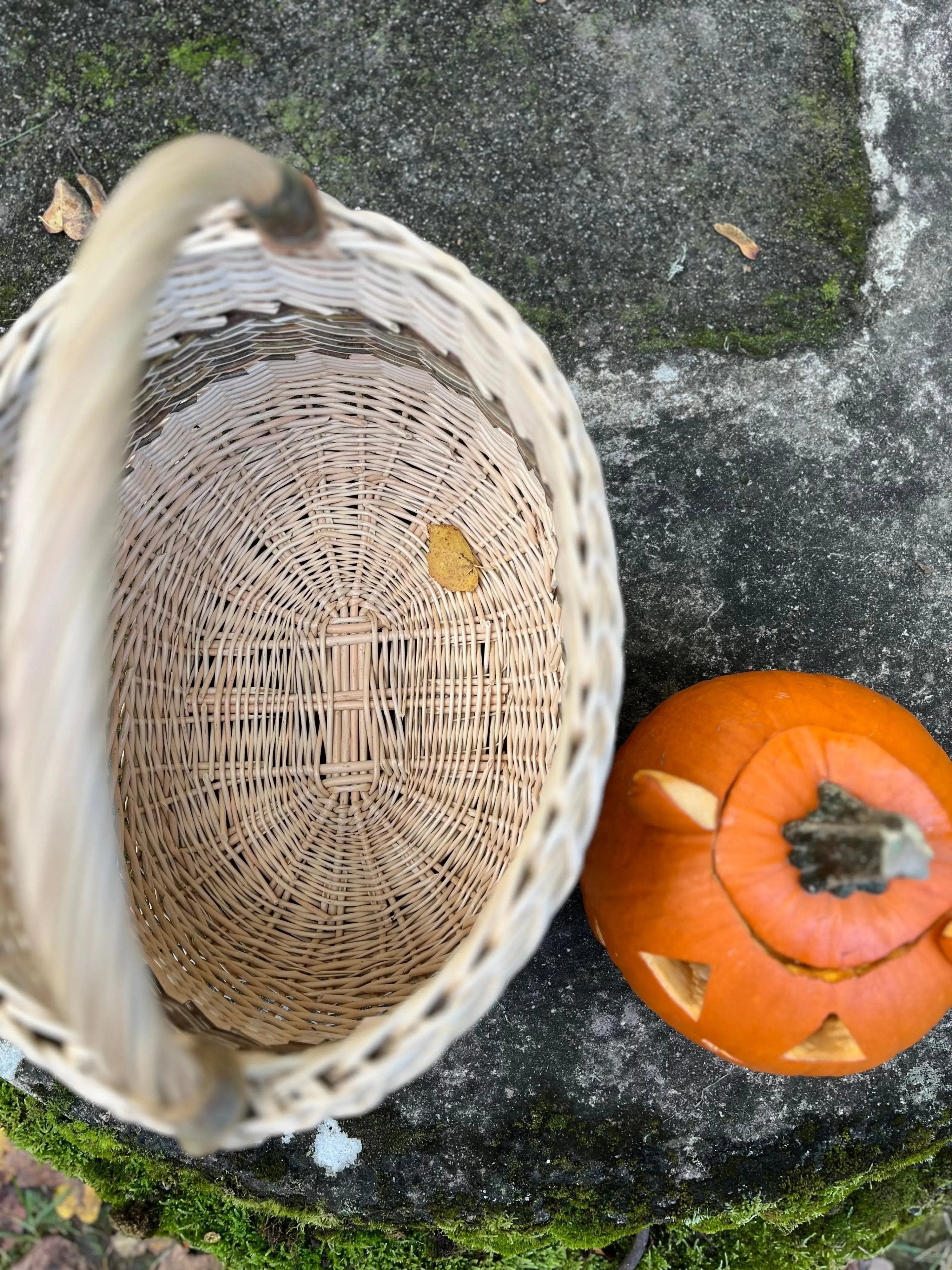 Handwoven Wicker Basket - Rustic Two Tone Oval Storage Basket for Home Decor - NaturelyWoven