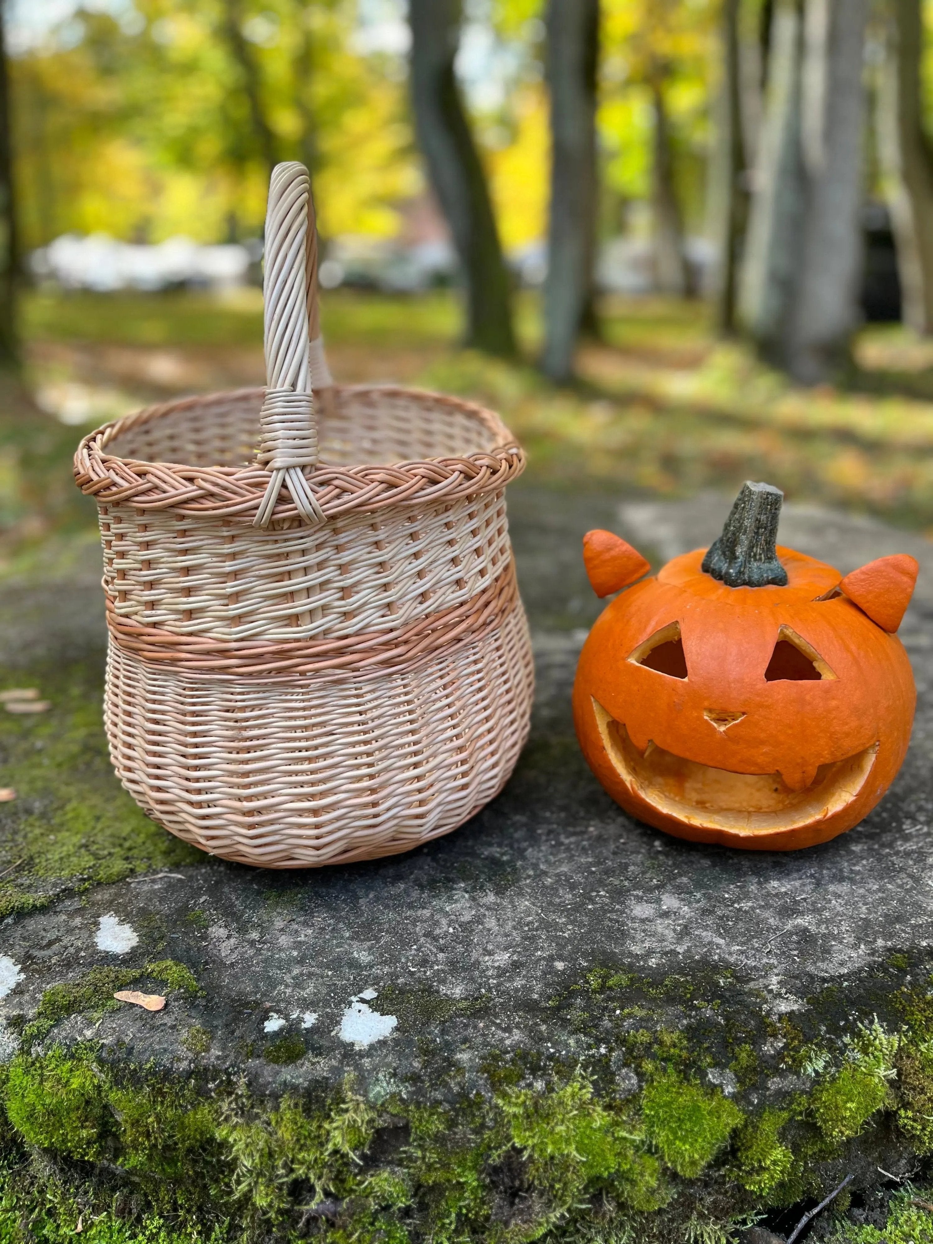Handwoven Wicker Basket - Rustic Two Tone Oval Storage Basket for Home Decor - NaturelyWoven