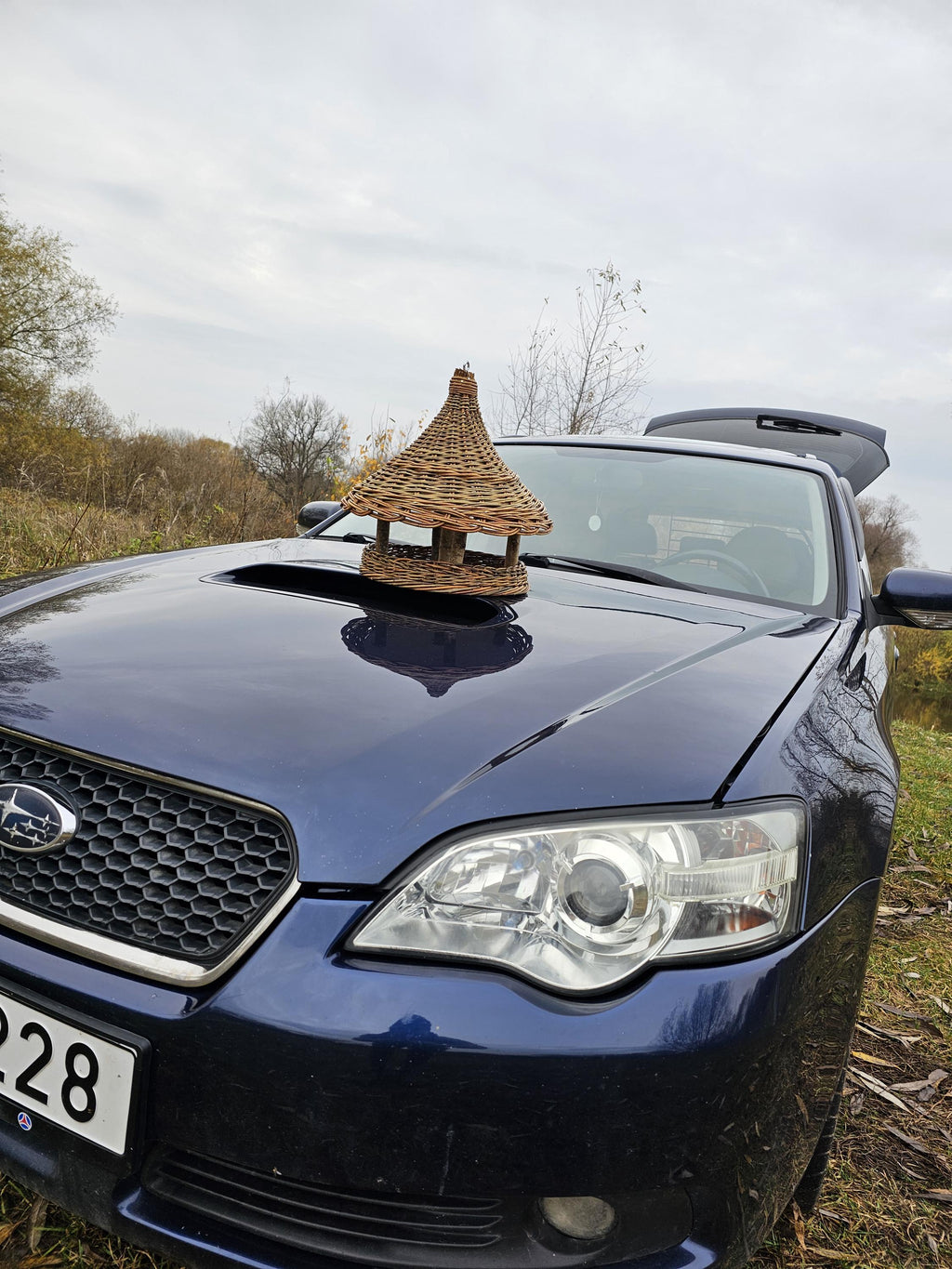 Lesykla ant automobilio kapoto rudens lauke – matyti, kokio ji dydžio ir kokios formos stogelis