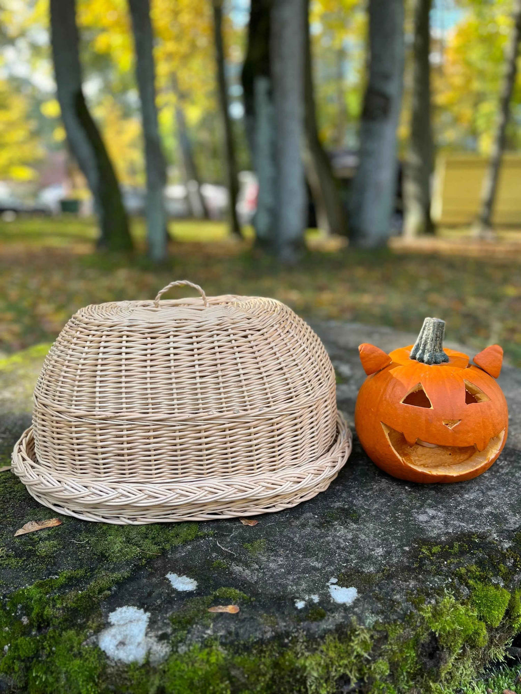 Wicker tray with lid 038b - NaturelyWoven wicker - handmade
