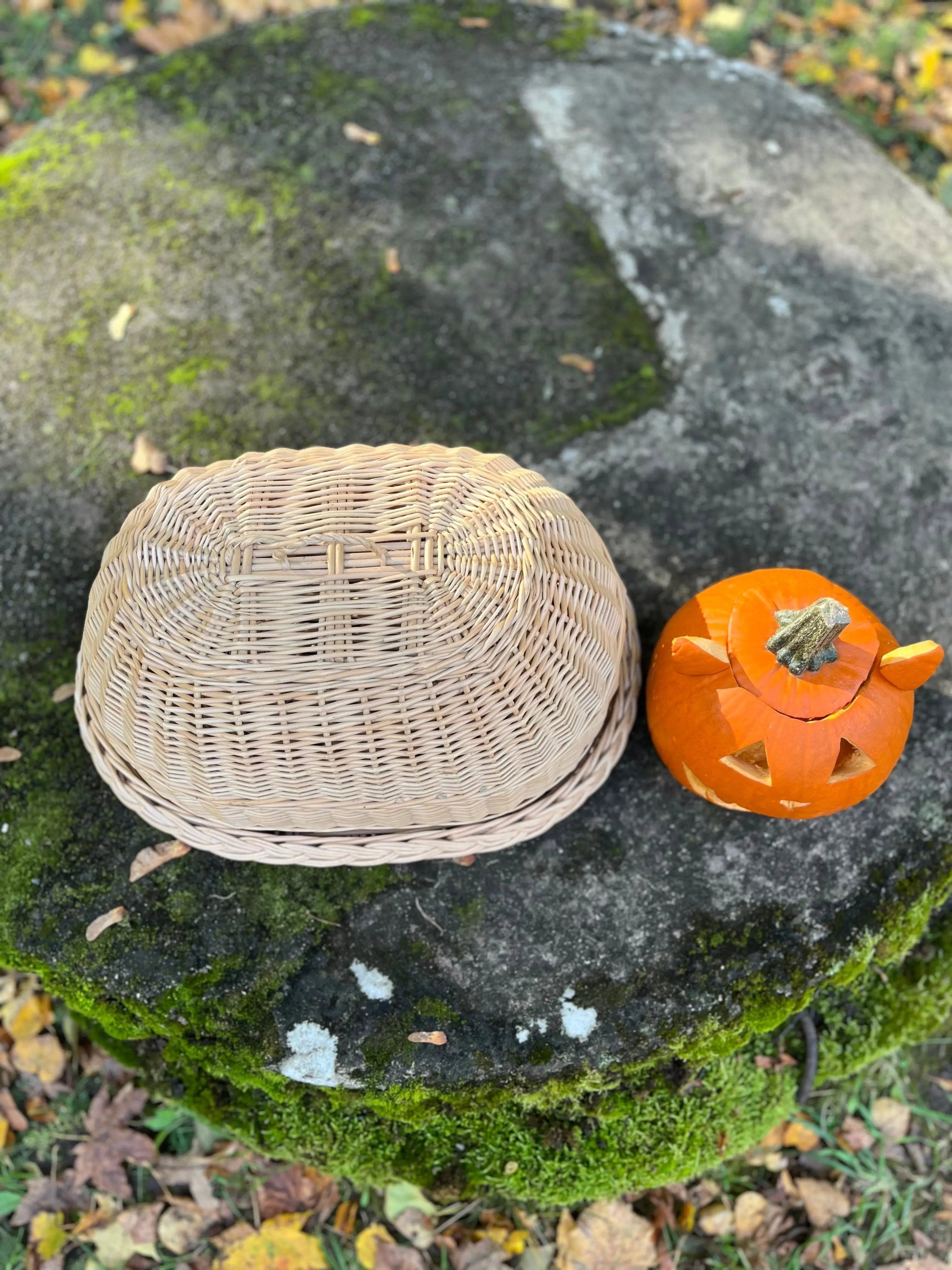 Handwoven Wicker Tray – Large Bread Box with Dome Lid | Rustic Kitchen Decor - NaturelyWoven