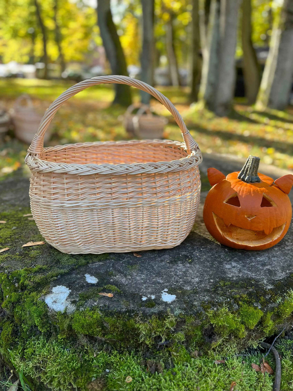 Wicker basket 028b - NaturelyWoven wicker - handmade