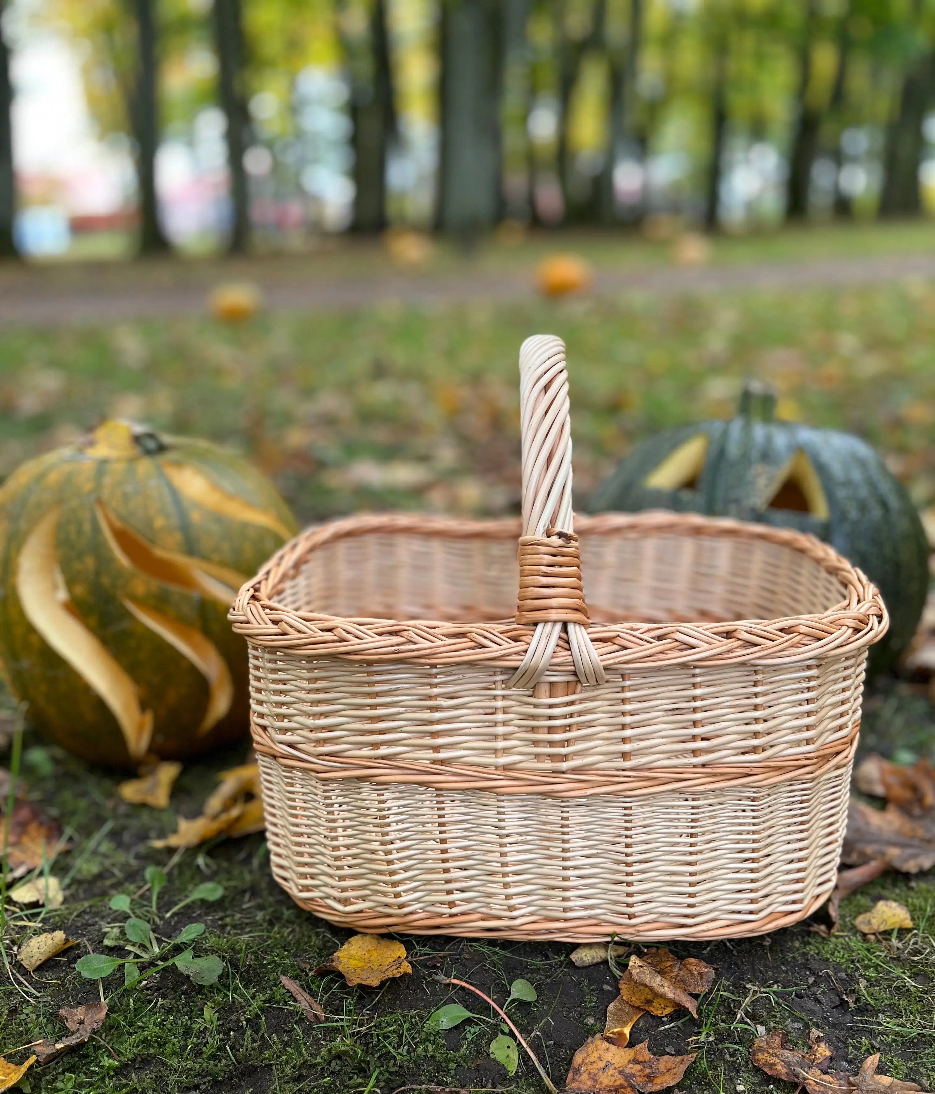 Rustic Willow Rectangular Basket with Handle - NaturelyWoven