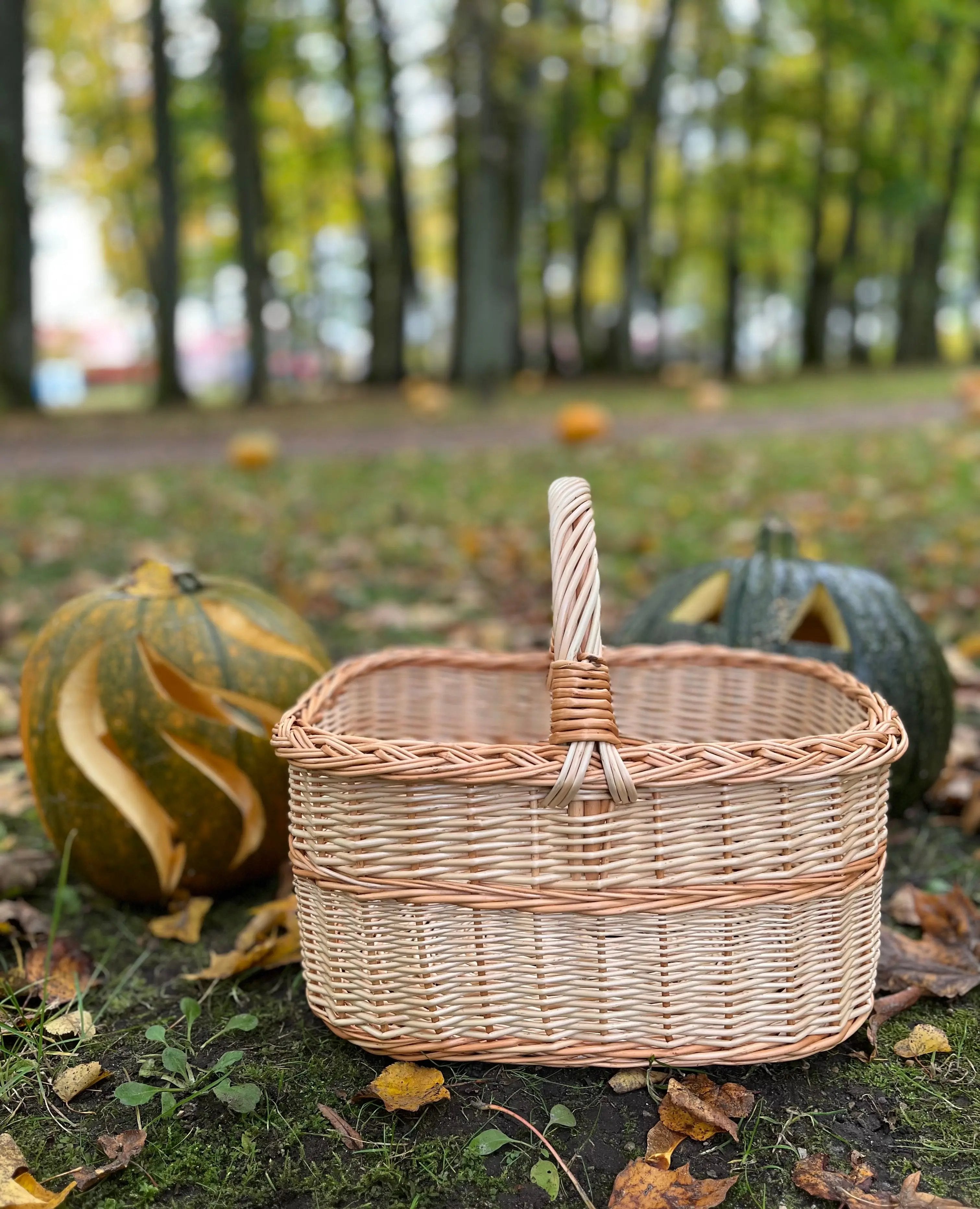 Rustic Willow Rectangular Basket with Handle - NaturelyWoven