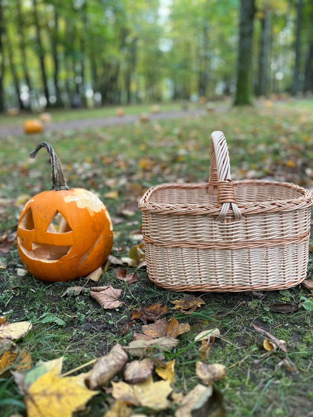 Willow basket 005b - NaturelyWoven wicker - handmade