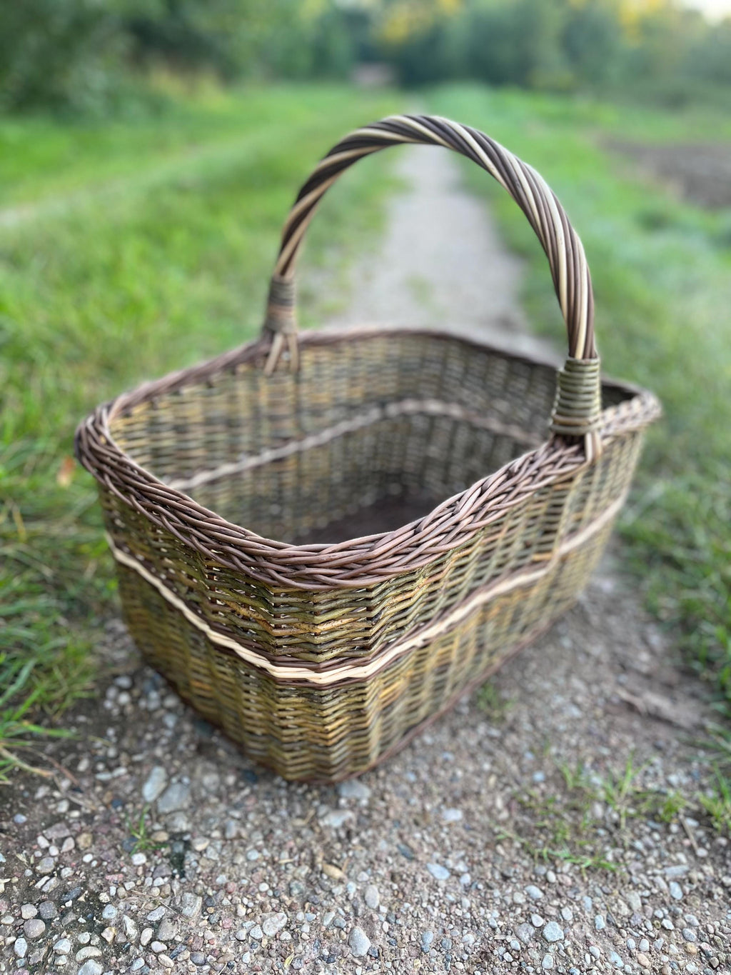 Didelė stačiakampė vytelių pintinė