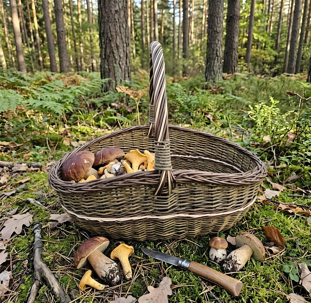 Didelė ovali vytelių pintinė