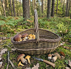 Didelė ovali vytelių pintinė