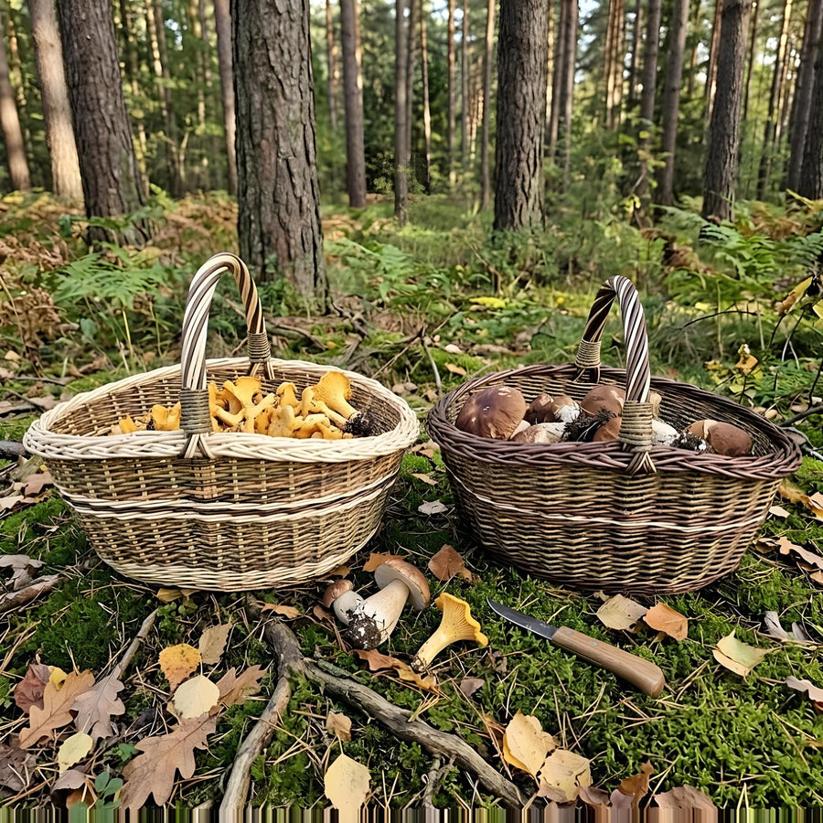 Dviejų vytelių pintinių komplektas
