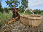 Negili vytelių pintinė