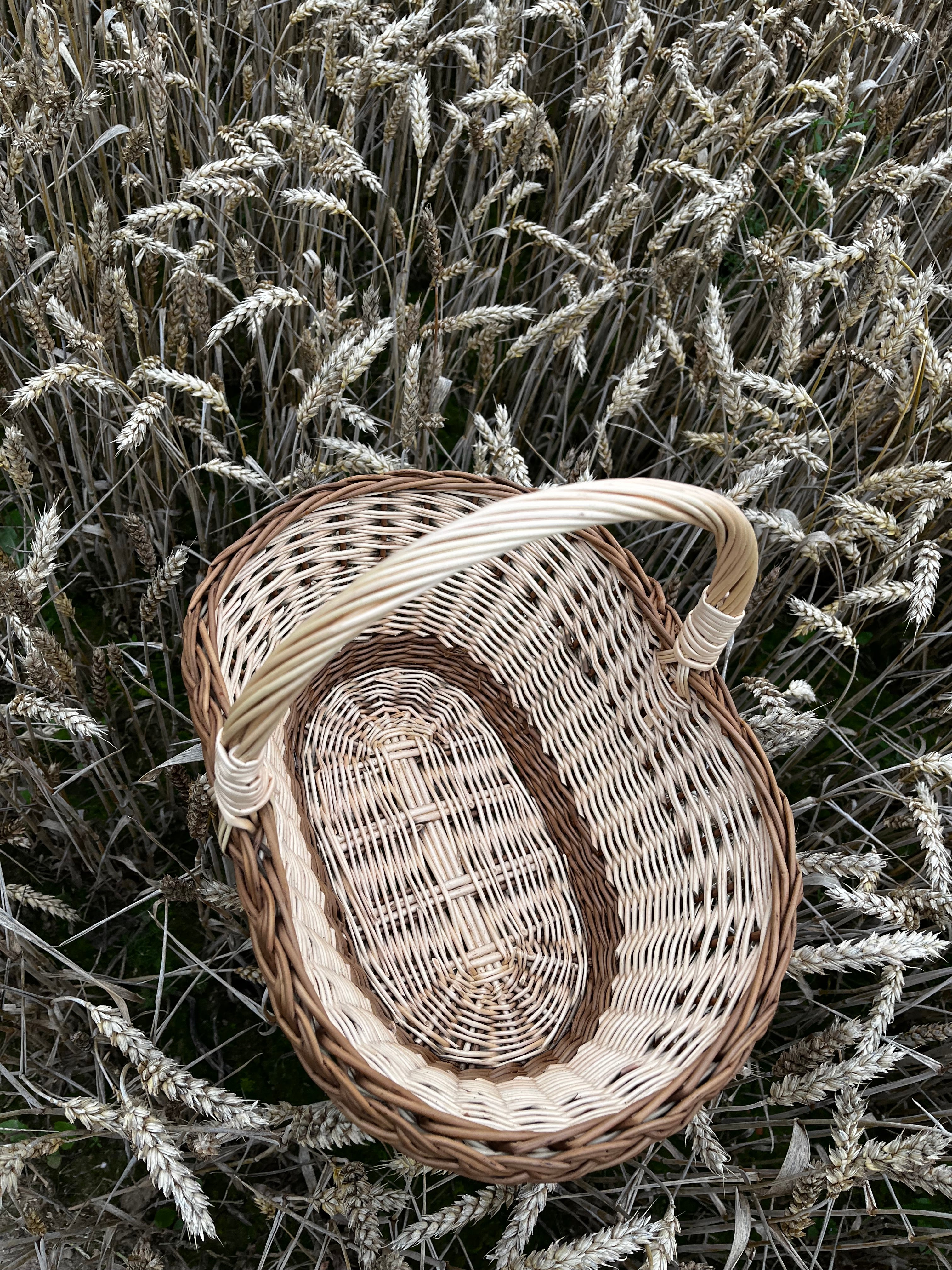 Pintinė 020b