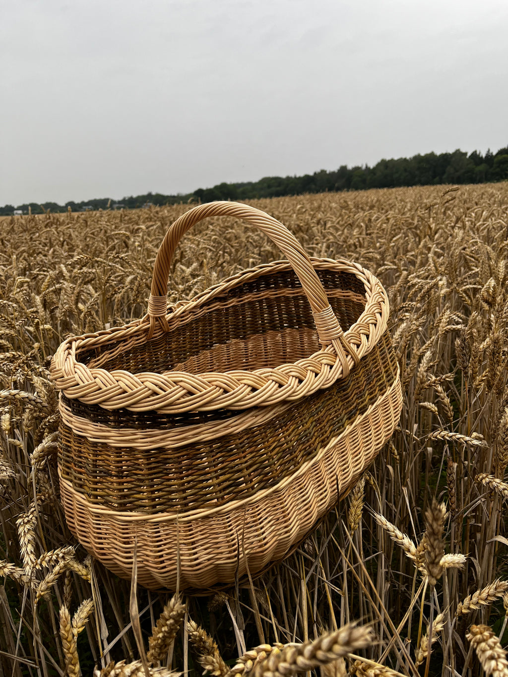 Didelė turgaus pintinė