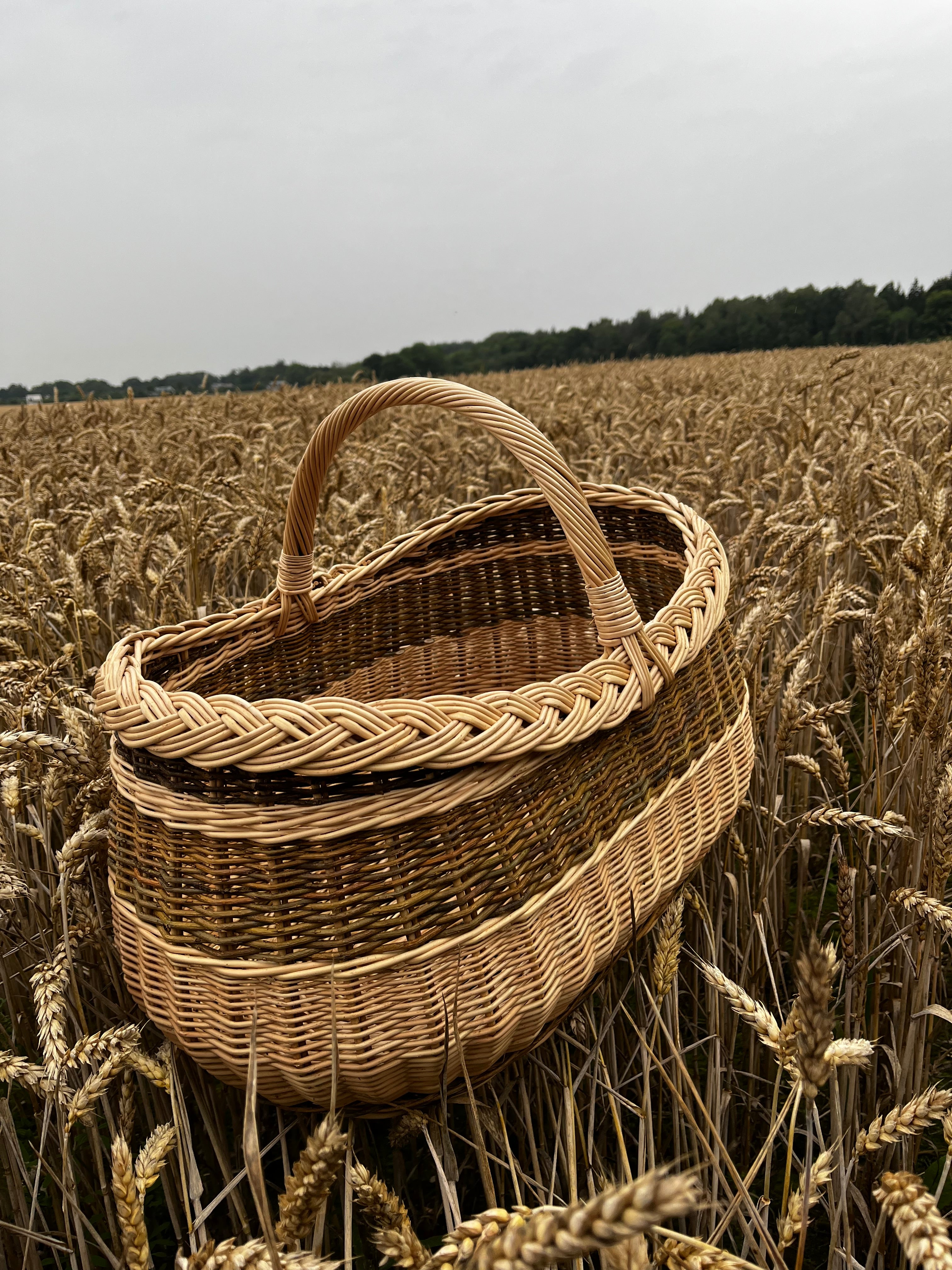 Pintinė 030r