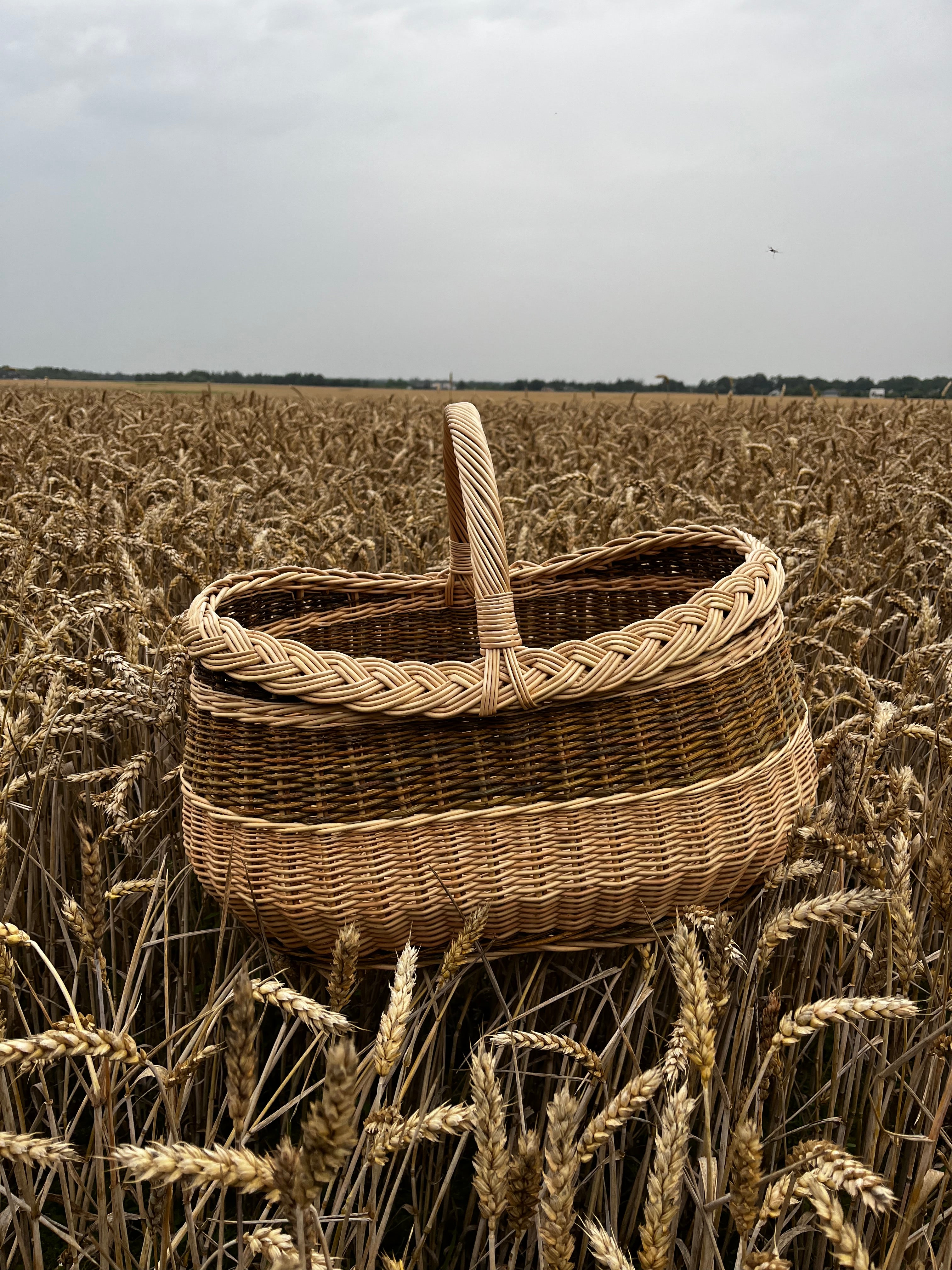 Pintinė 030r