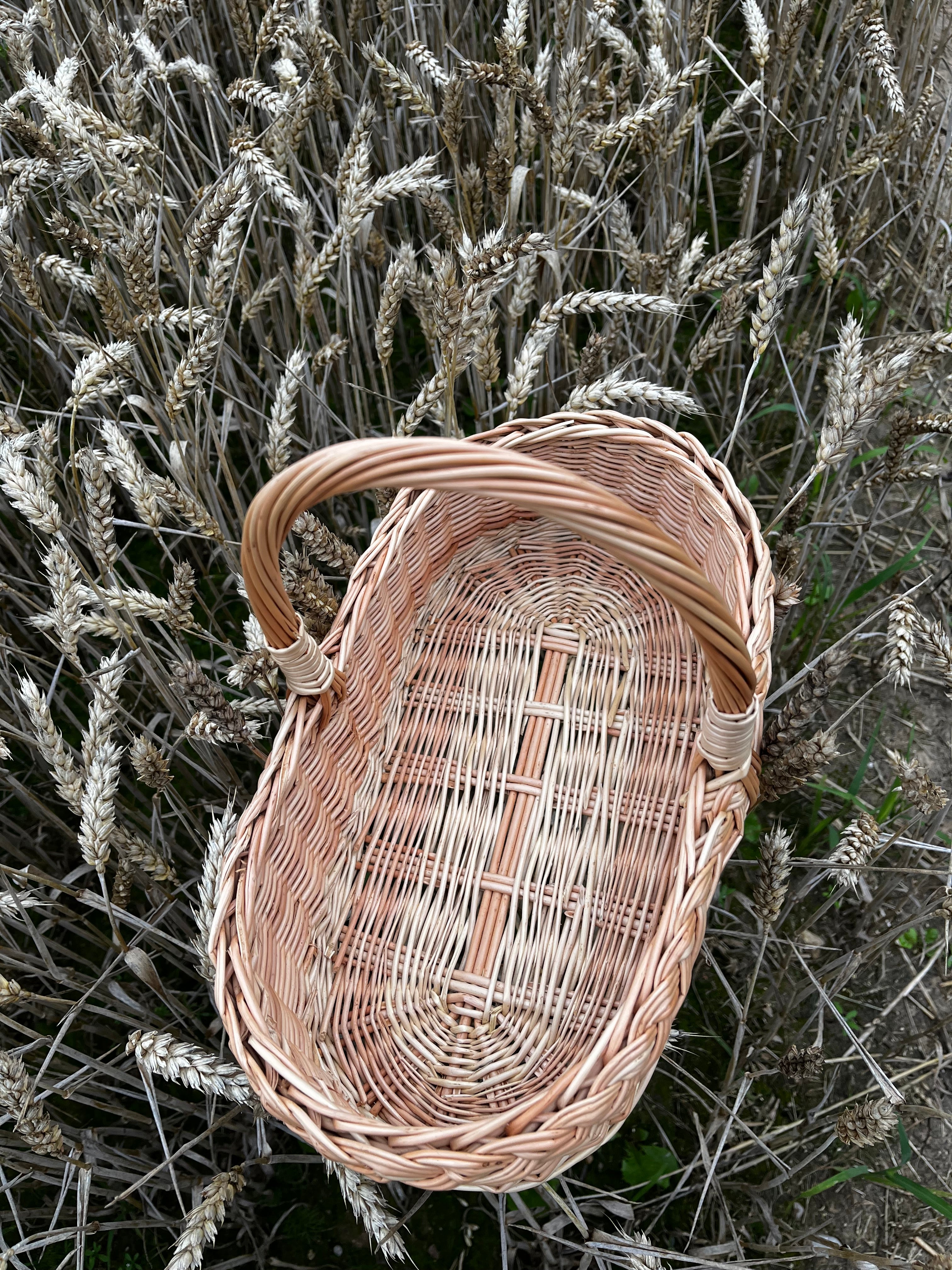 Pintinė 002r