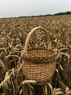Maža gėlių pintinė