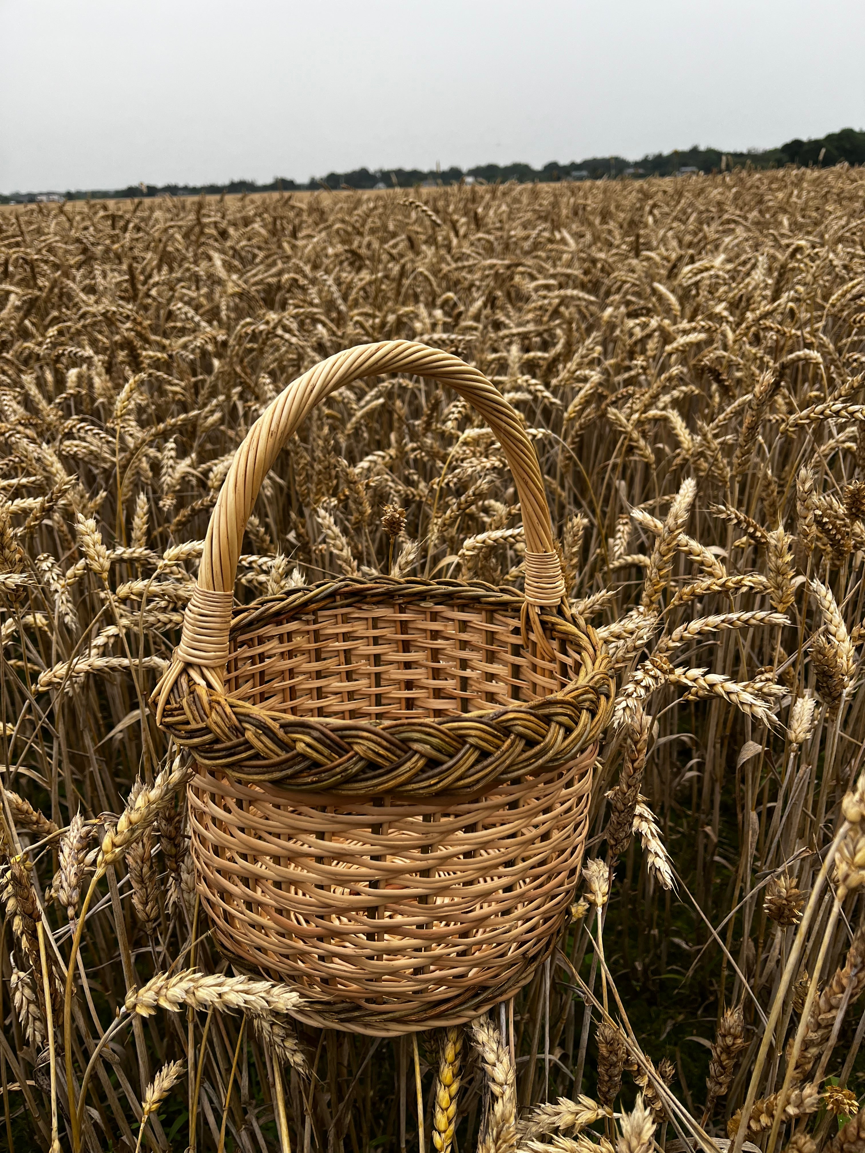 Maža gėlių pintinė