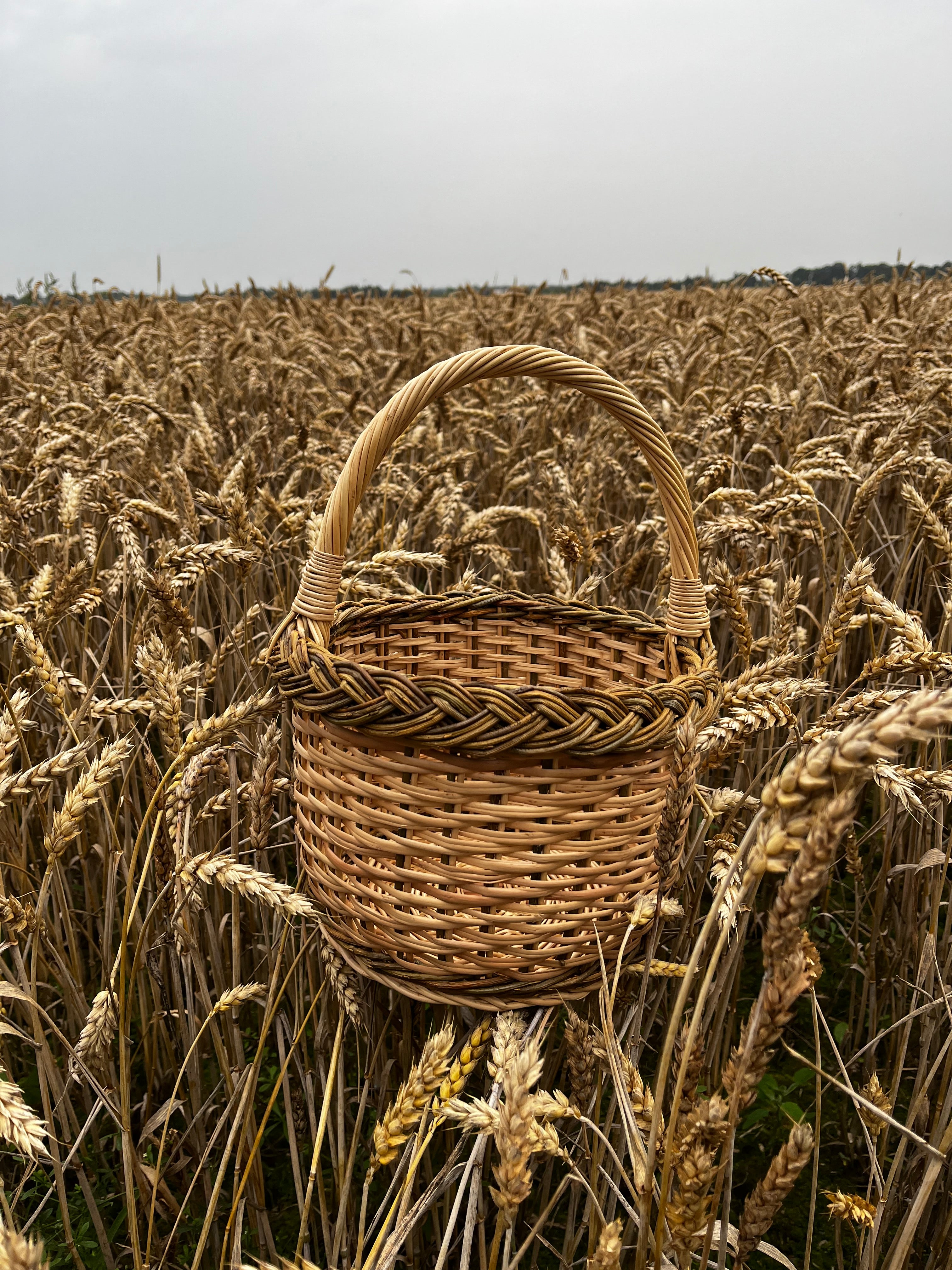 Maža gėlių pintinė