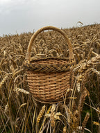 Maža gėlių pintinė
