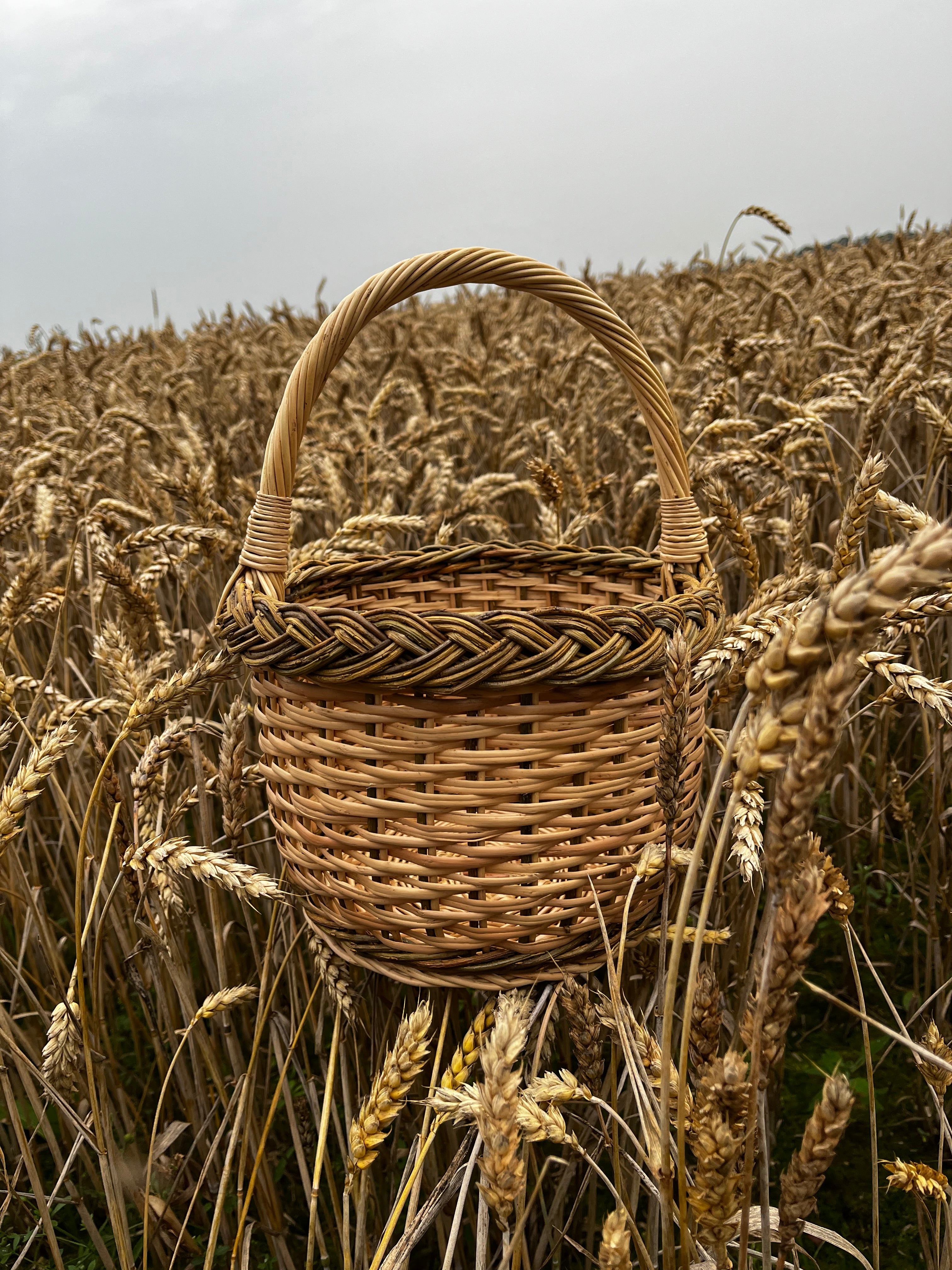 Maža gėlių pintinė
