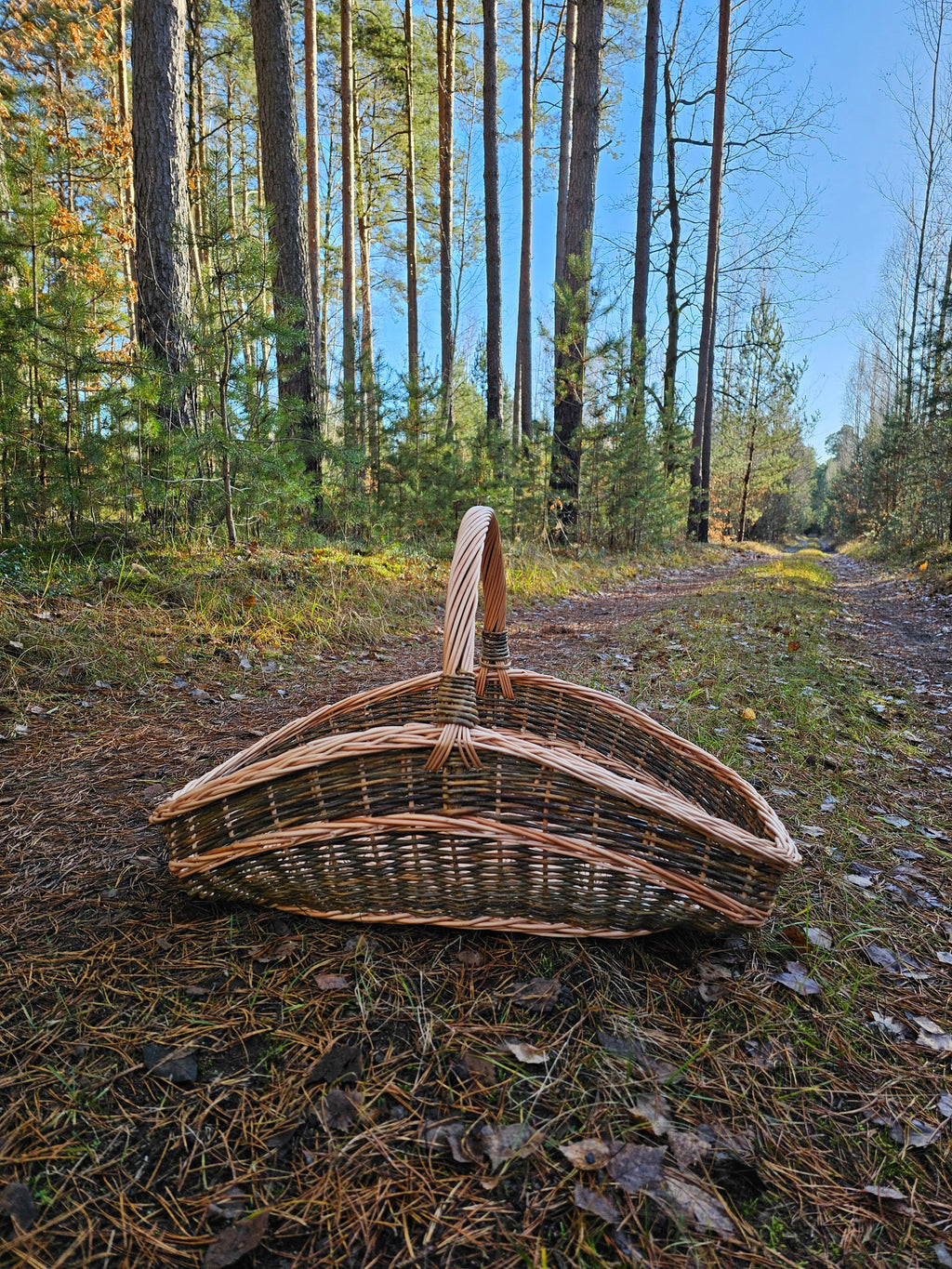 Didelė natūrali pintinė, Nežievinta / auksinė — rankų darbo vytelių pintinė