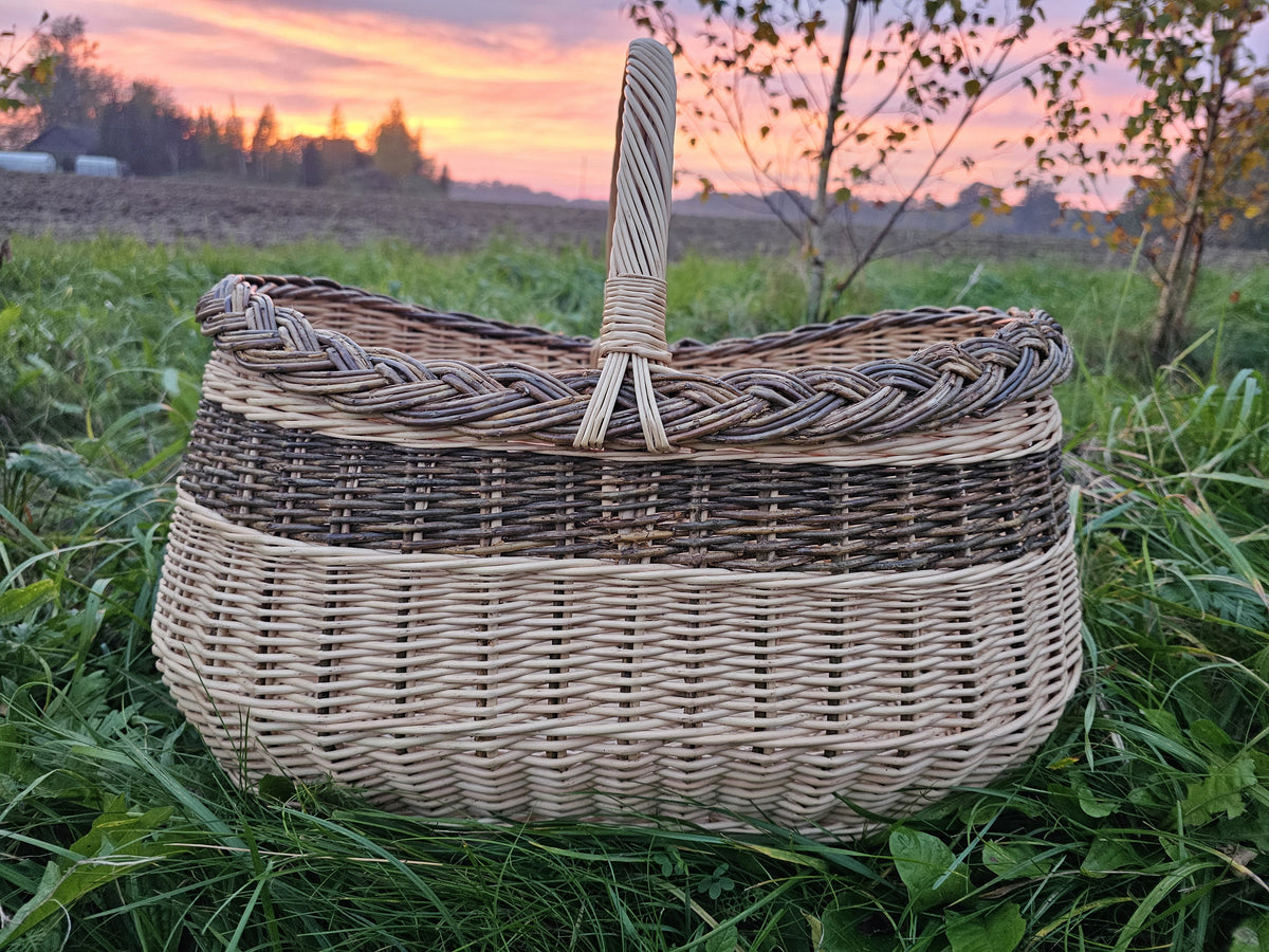 Large oval willow basket with a braided unpeeled willow rim and tall handle standing in the grass at sunset