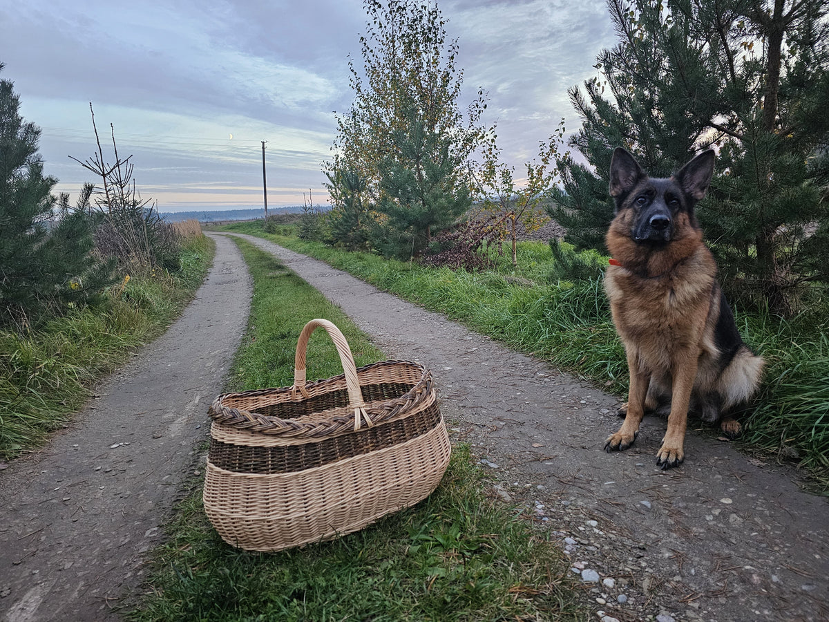 Large oval willow basket on a gravel country road with a German Shepherd sitting nearby