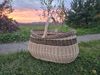 Large oval willow basket in a field with an evening sky behind it