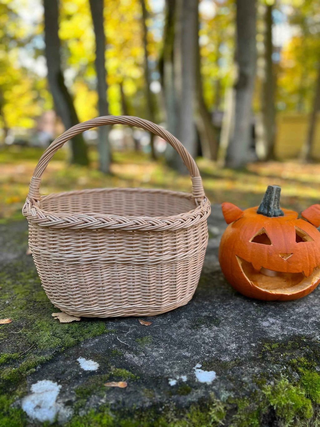 Didelė pikniko pintinė su aukšta rankena — vytelių pintinė, 4 nuotrauka
