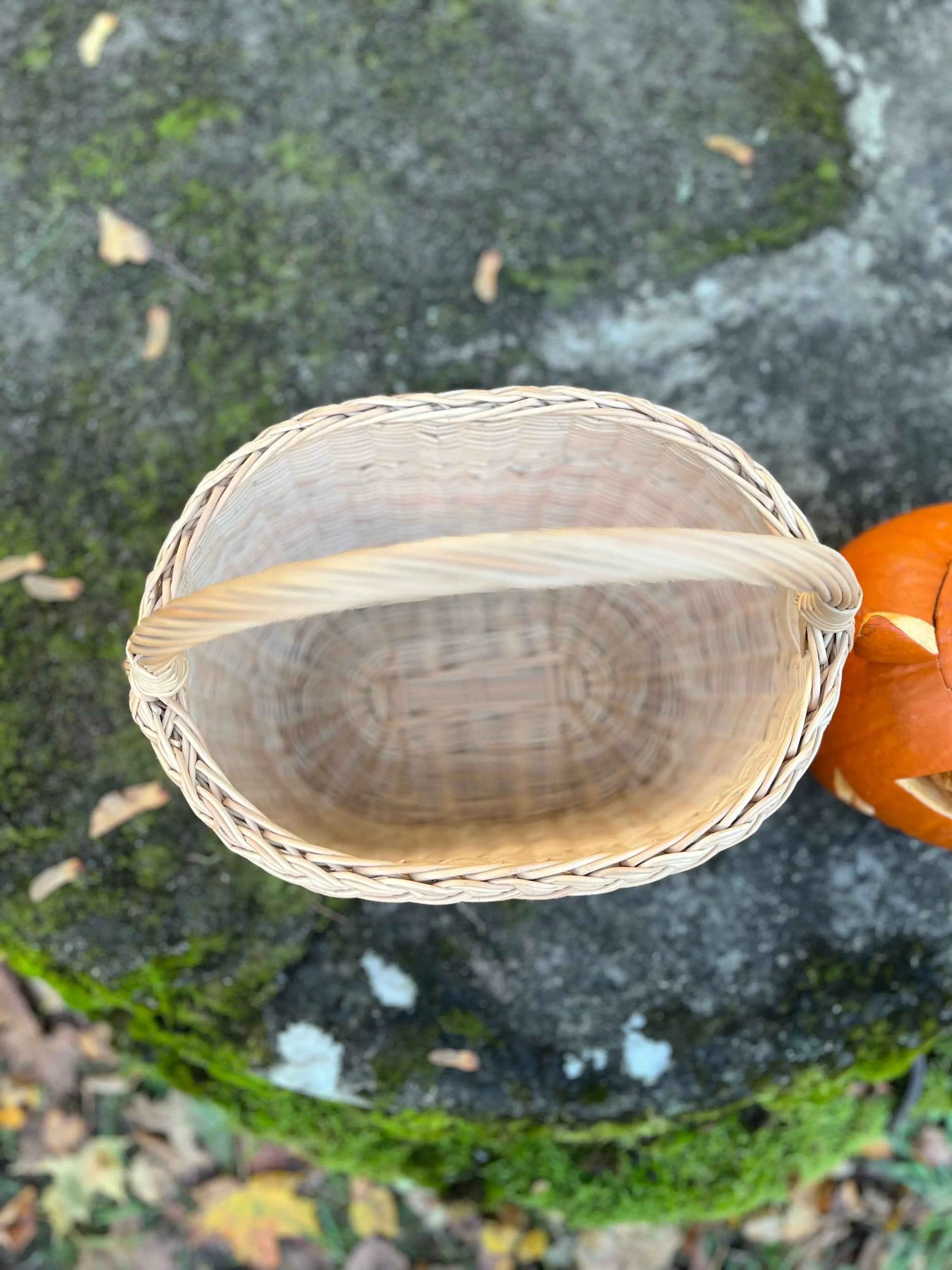 Didelė pikniko pintinė su aukšta rankena — vytelių pintinė, 12 nuotrauka