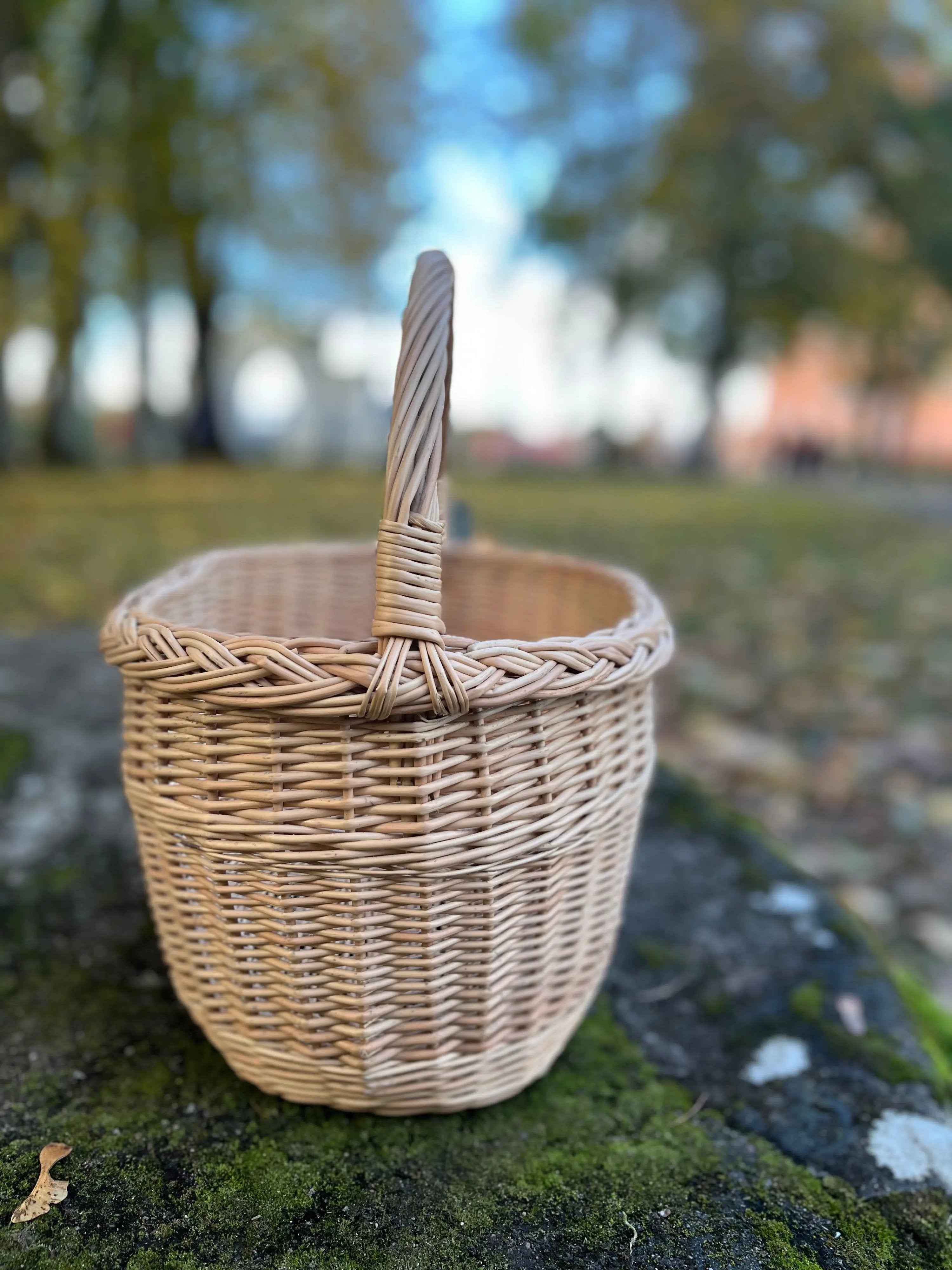 Didelė pikniko pintinė su aukšta rankena — vytelių pintinė, 13 nuotrauka
