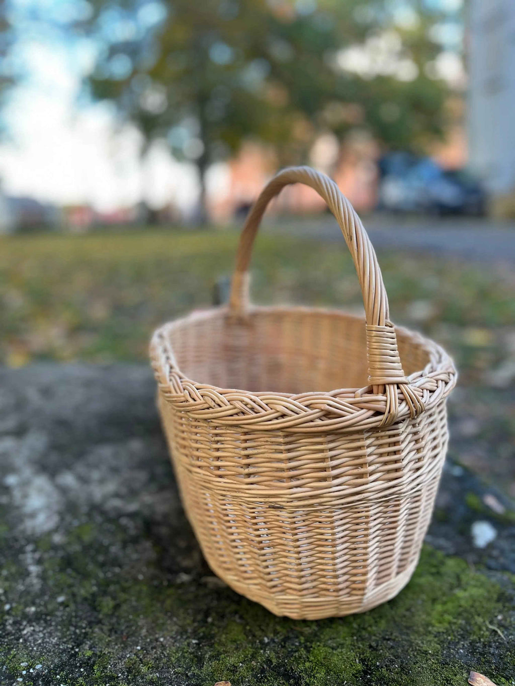 Didelė pikniko pintinė su aukšta rankena — vytelių pintinė, 14 nuotrauka