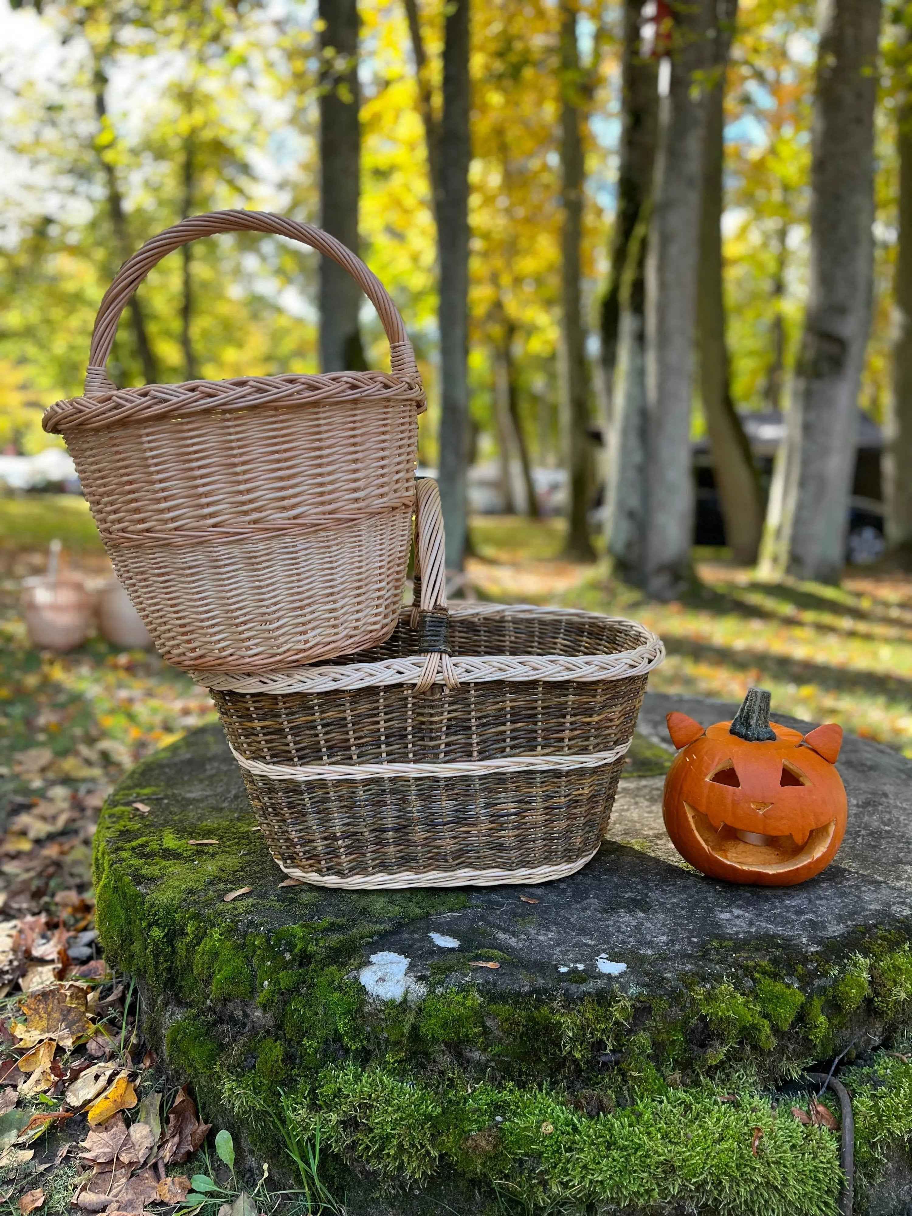 Didelė pikniko pintinė su rankena — daiktų pintinė, 10 nuotrauka