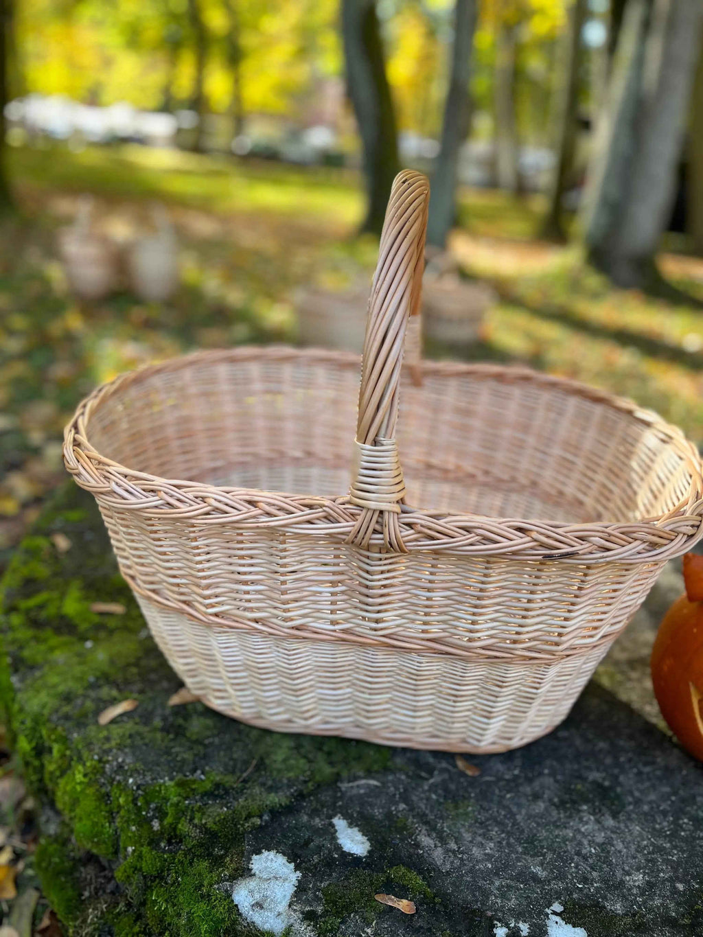 Didelė pikniko pintinė su rankena — daiktų pintinė, 16 nuotrauka