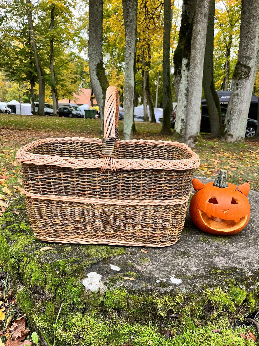 Didelė sandėliavimo pintinė, Nežievinta / auksinė — rankų darbo vytelių pintinė