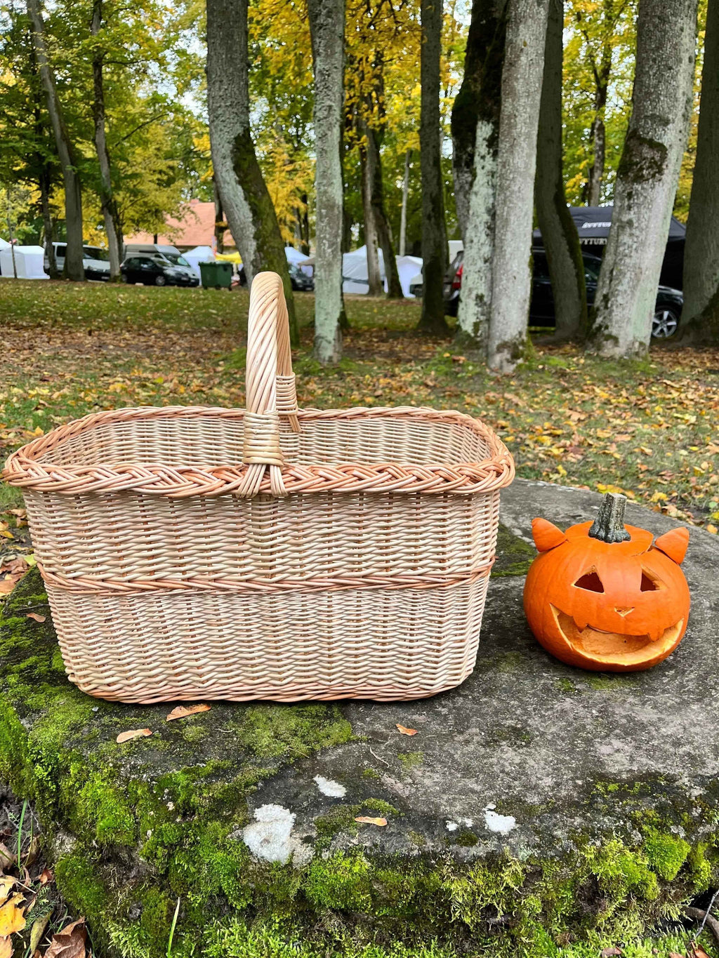 Didelė sandėliavimo pintinė, Auksinė / rausva — rankų darbo vytelių pintinė