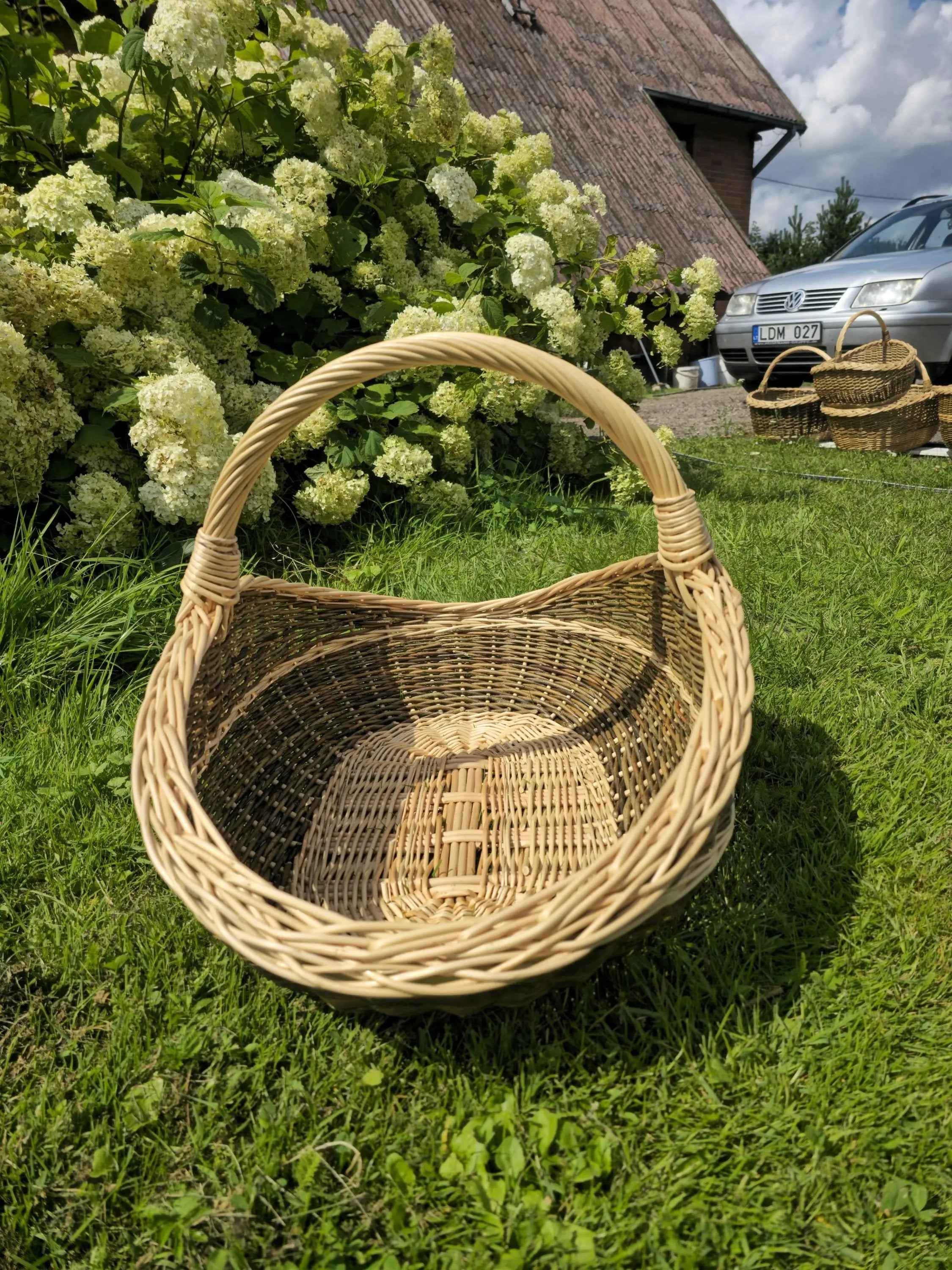 Didelė pintinė iš nežievintos vytelės — vytelių pintinė, 2 nuotrauka
