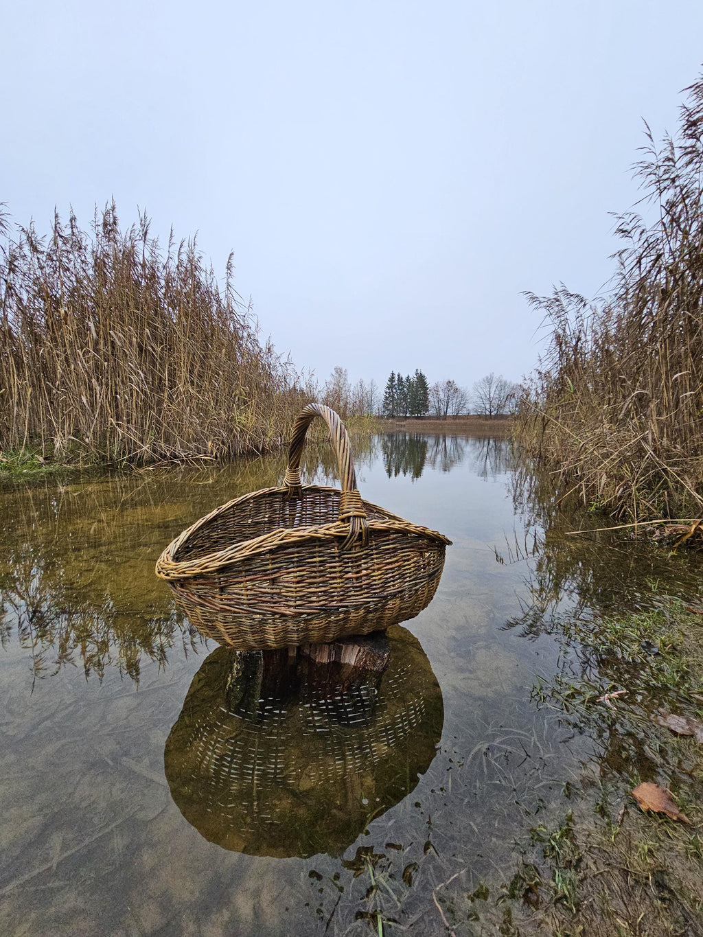 Didelė pintinė iš nežievintos vytelės — vytelių pintinė, 7 nuotrauka