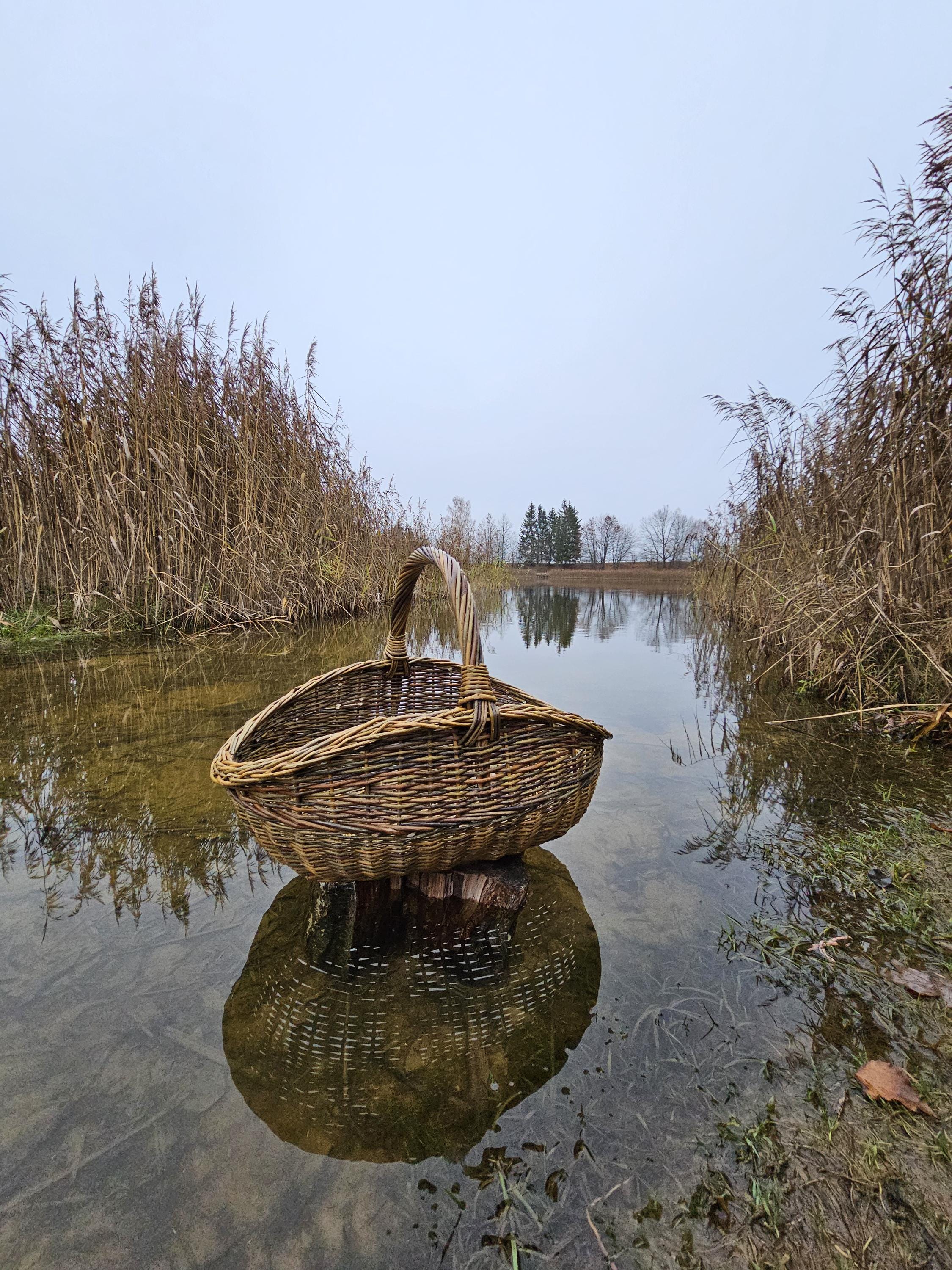 Didelė pintinė iš nežievintos vytelės — vytelių pintinė, 7 nuotrauka