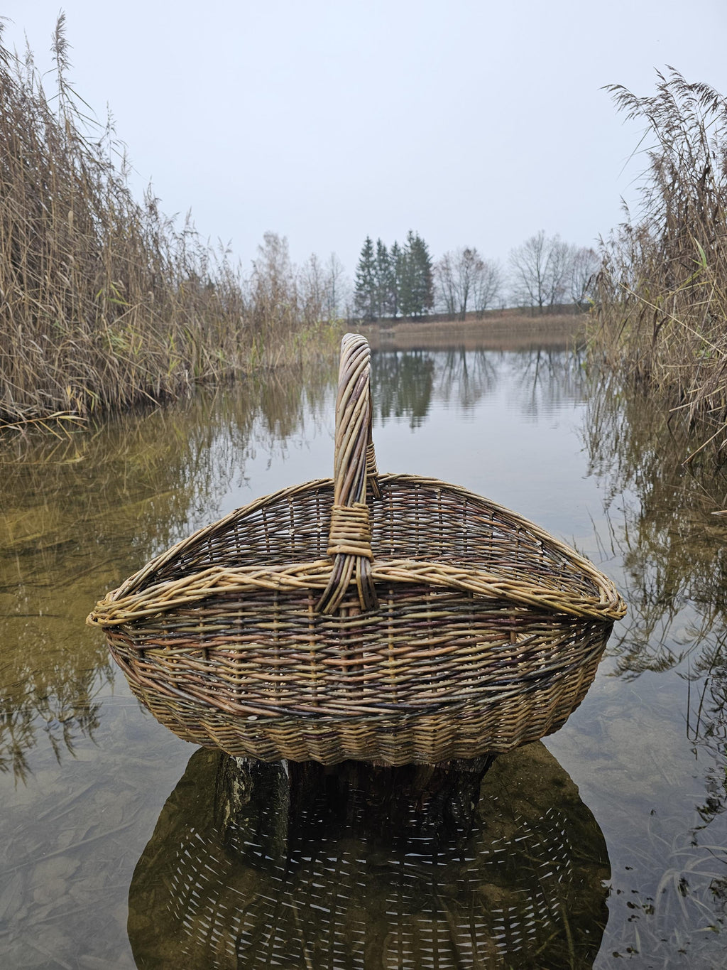Didelė pintinė iš nežievintos vytelės — vytelių pintinė, 8 nuotrauka