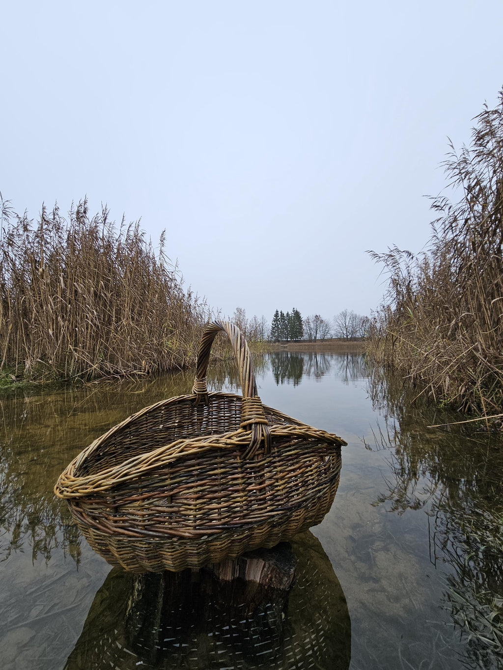 Didelė pintinė iš nežievintos vytelės — vytelių pintinė, 15 nuotrauka