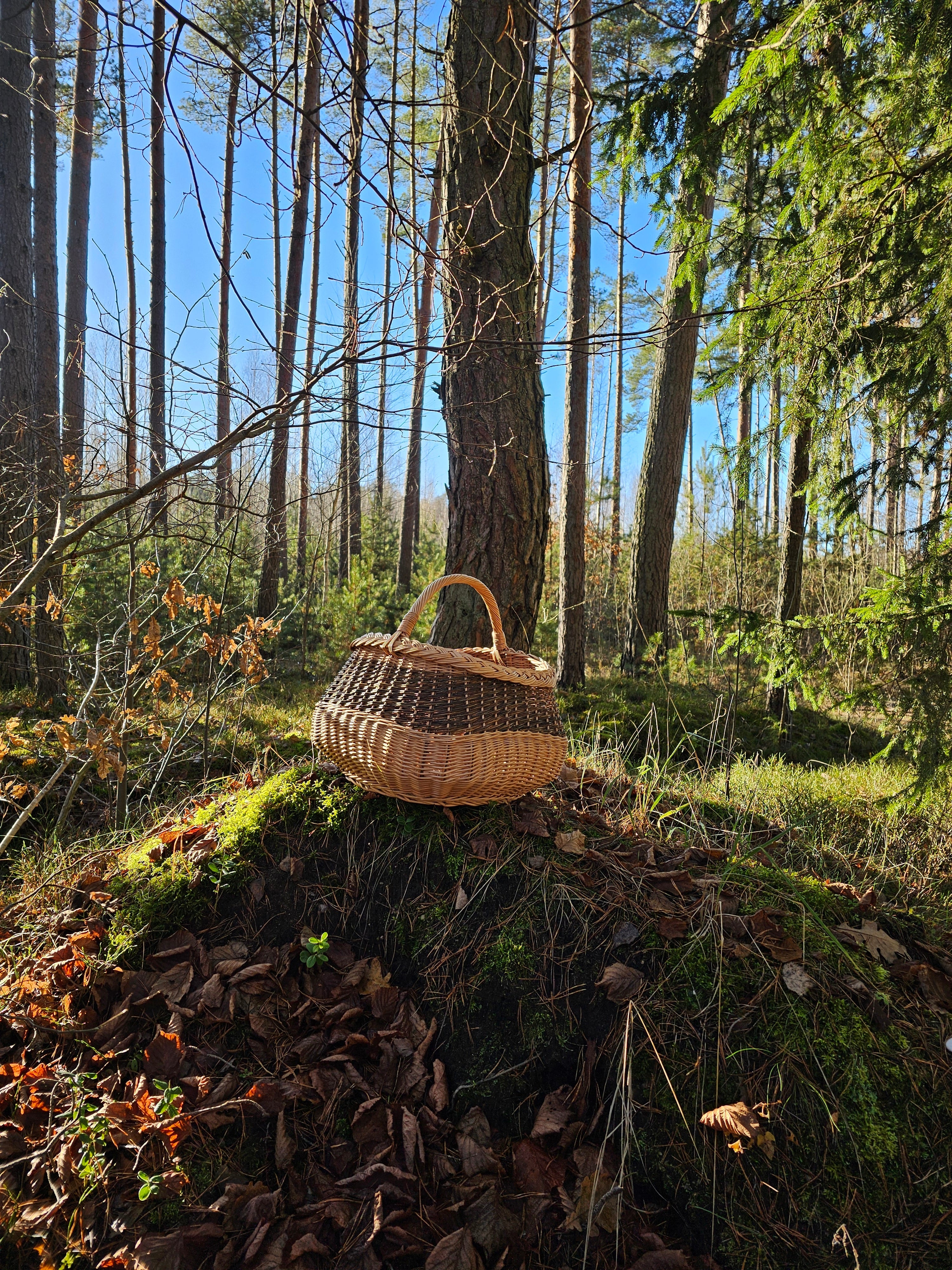 Large wicker basket 017r - NaturelyWoven