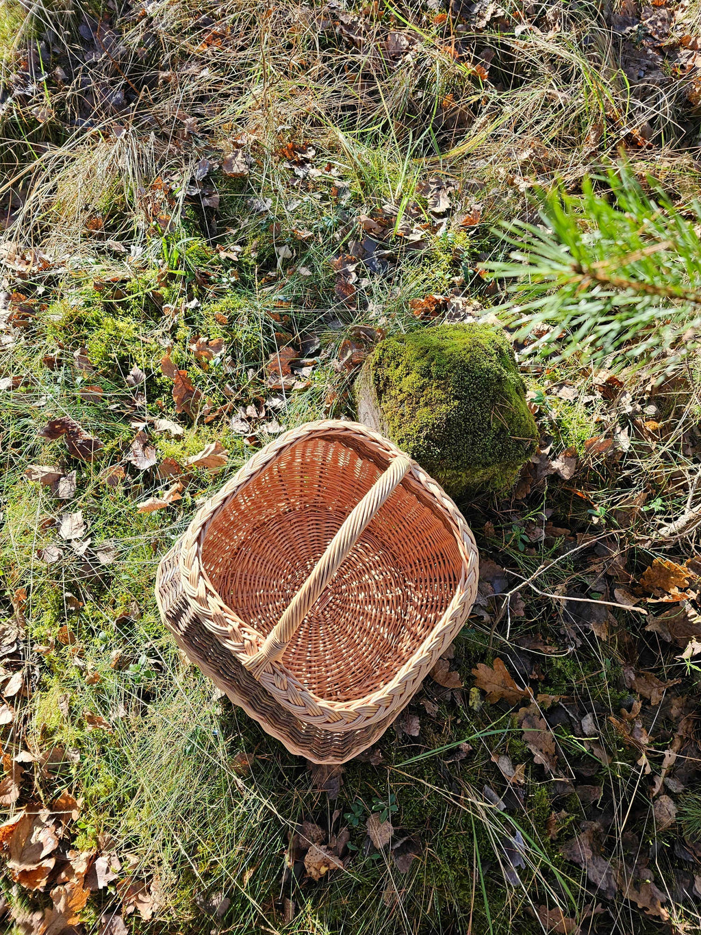 Wicker basket 017r - NaturelyWoven wicker - handmade