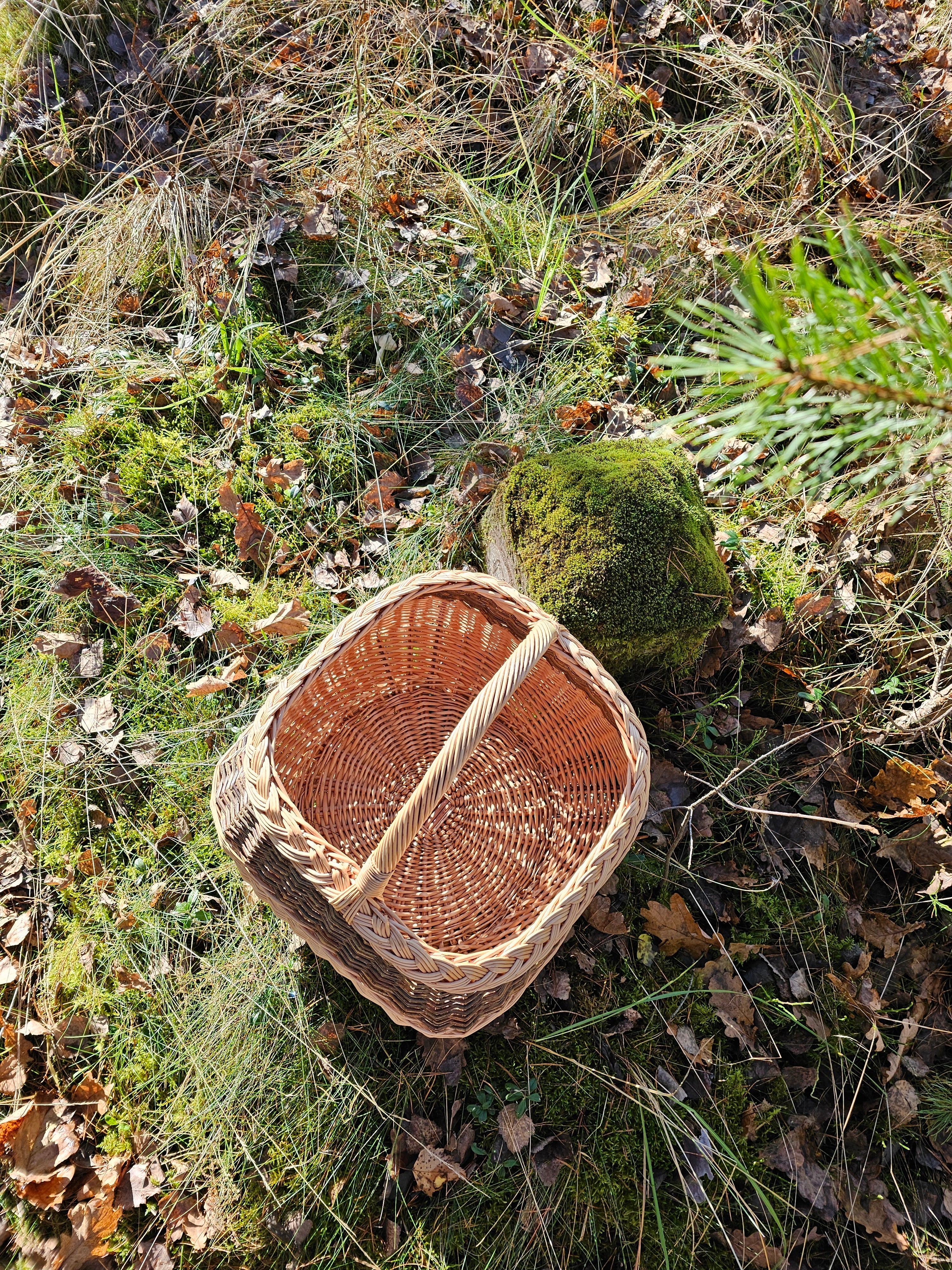 Large wicker basket 017r - NaturelyWoven