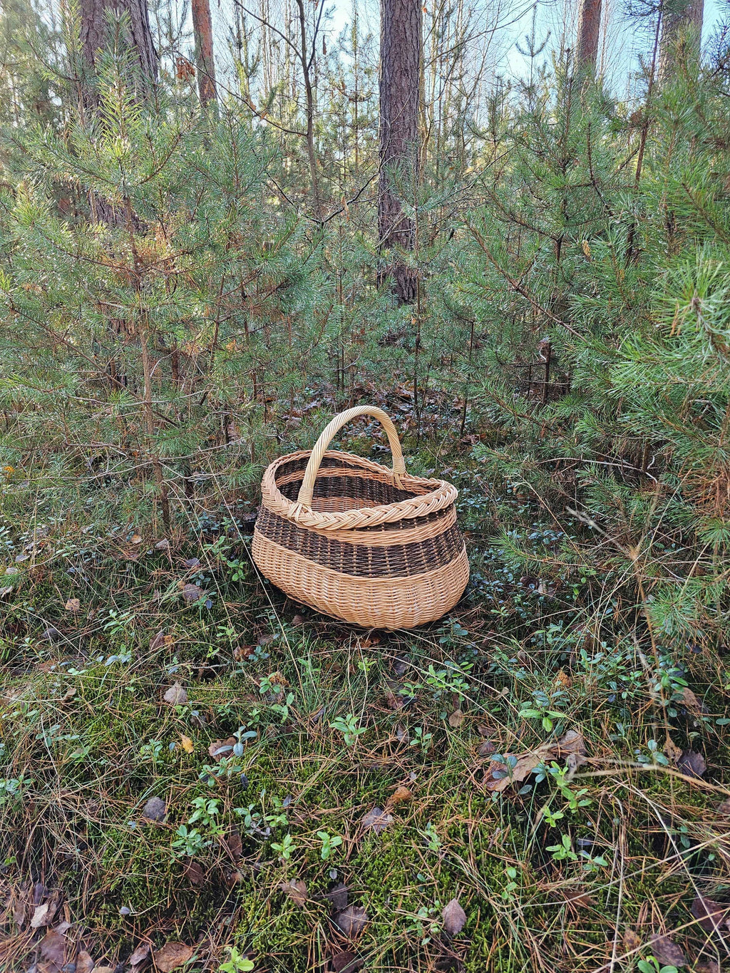 Didelė turgaus pintinė — vytelių pintinė, 14 nuotrauka